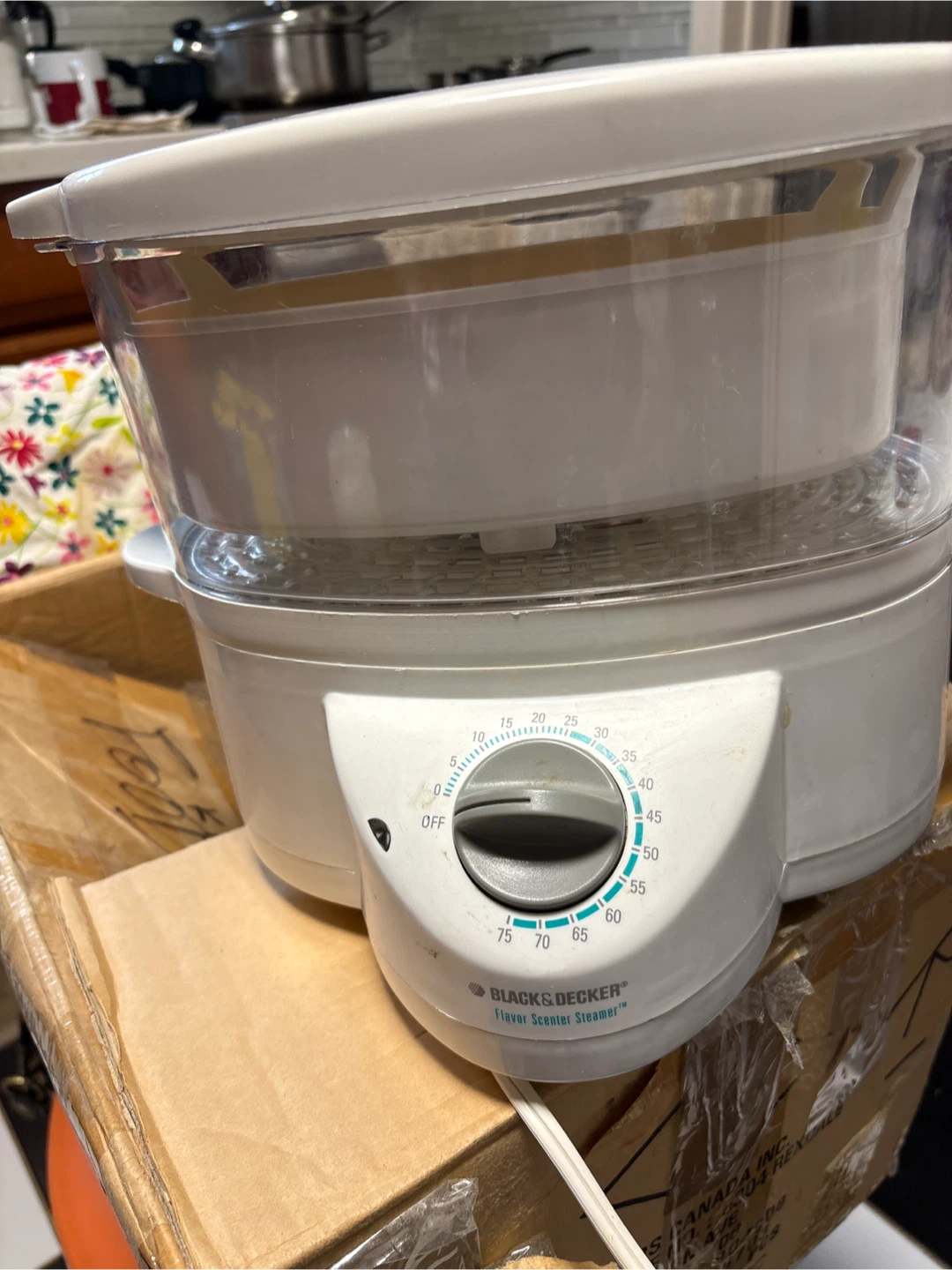Black & Decker Flavor Scenter Steamer