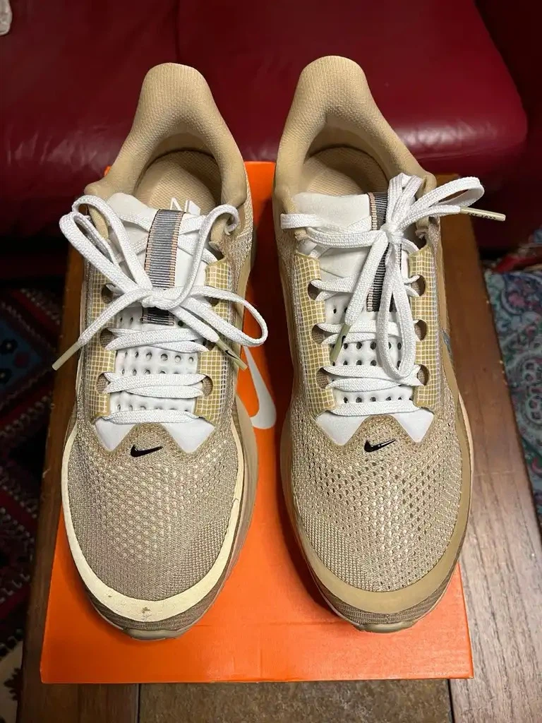 Nike Pegasus Premium Mushroom Metallic Silver Size 11 Brand New - photo 2
