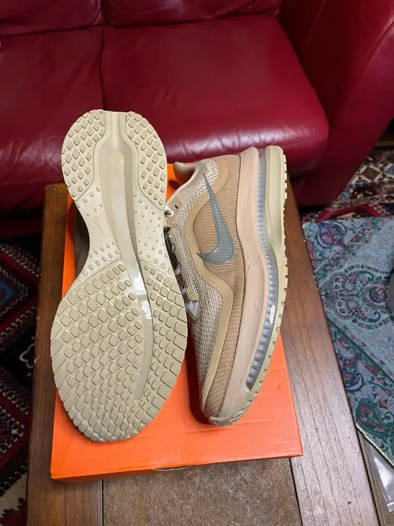 Nike Pegasus Premium Mushroom Metallic Silver Size 11 Brand New - photo 3