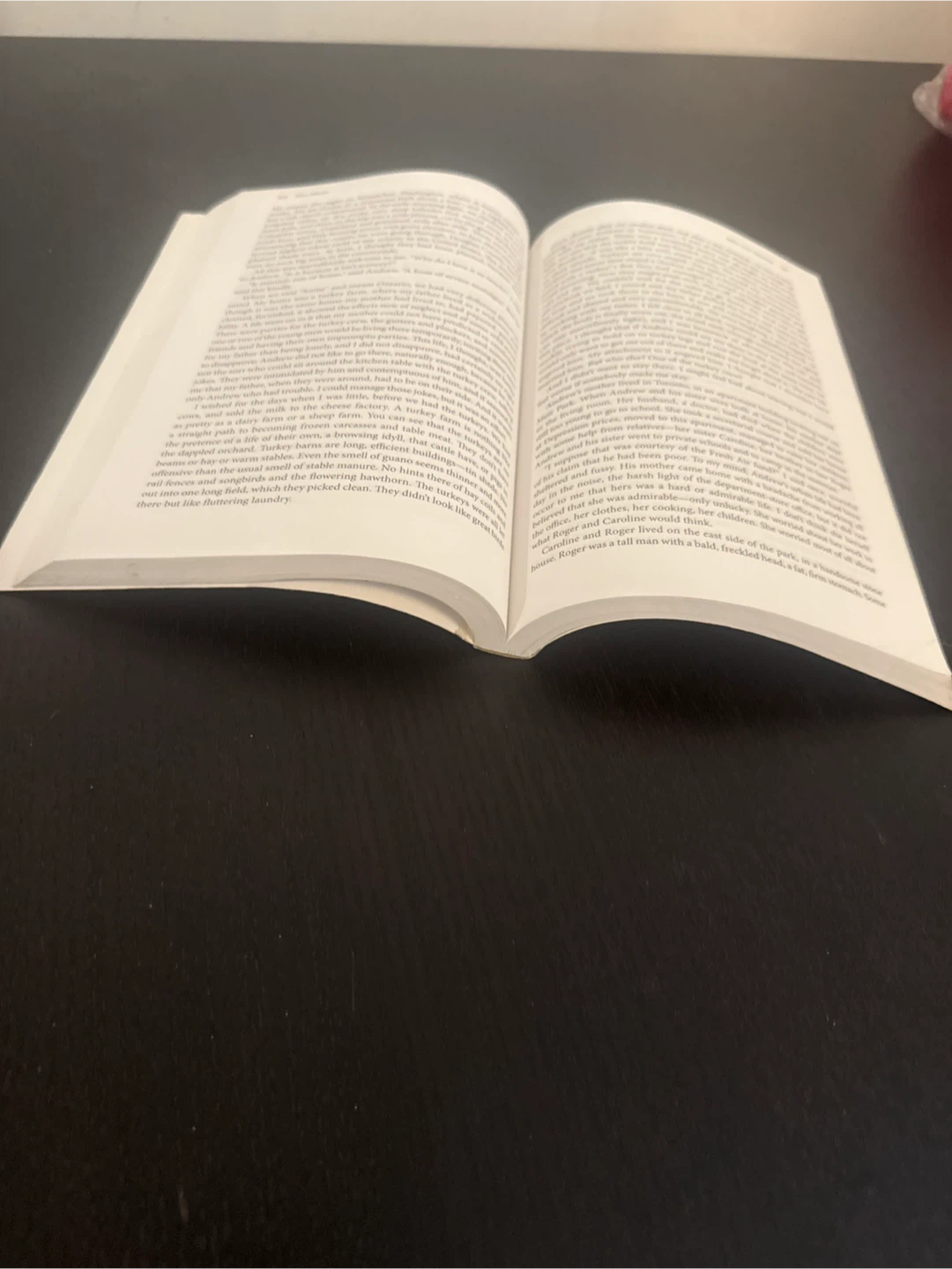 The Broadview Anthology of Short Fiction Second Edition - photo 3