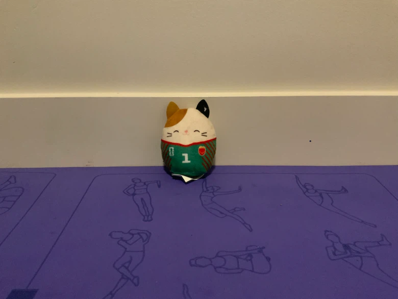 FIFA plush : squishmallow