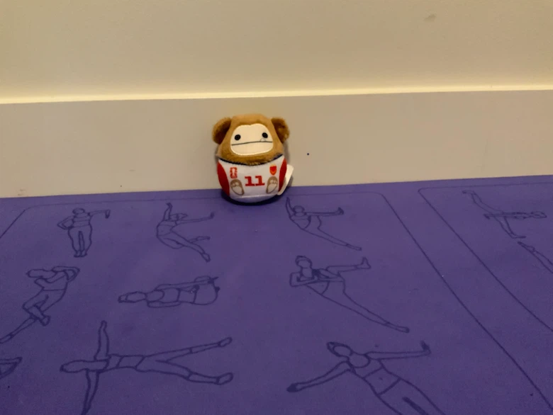 FIFA Squishmallow