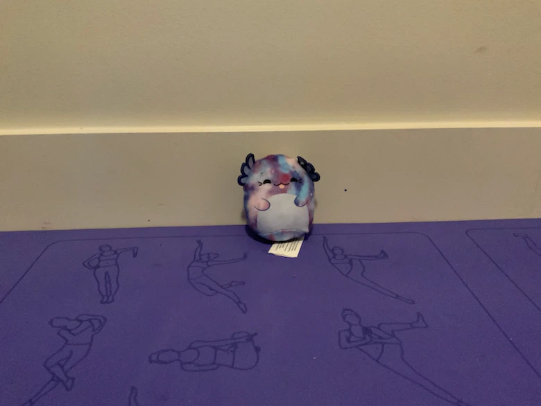 Squishmallow