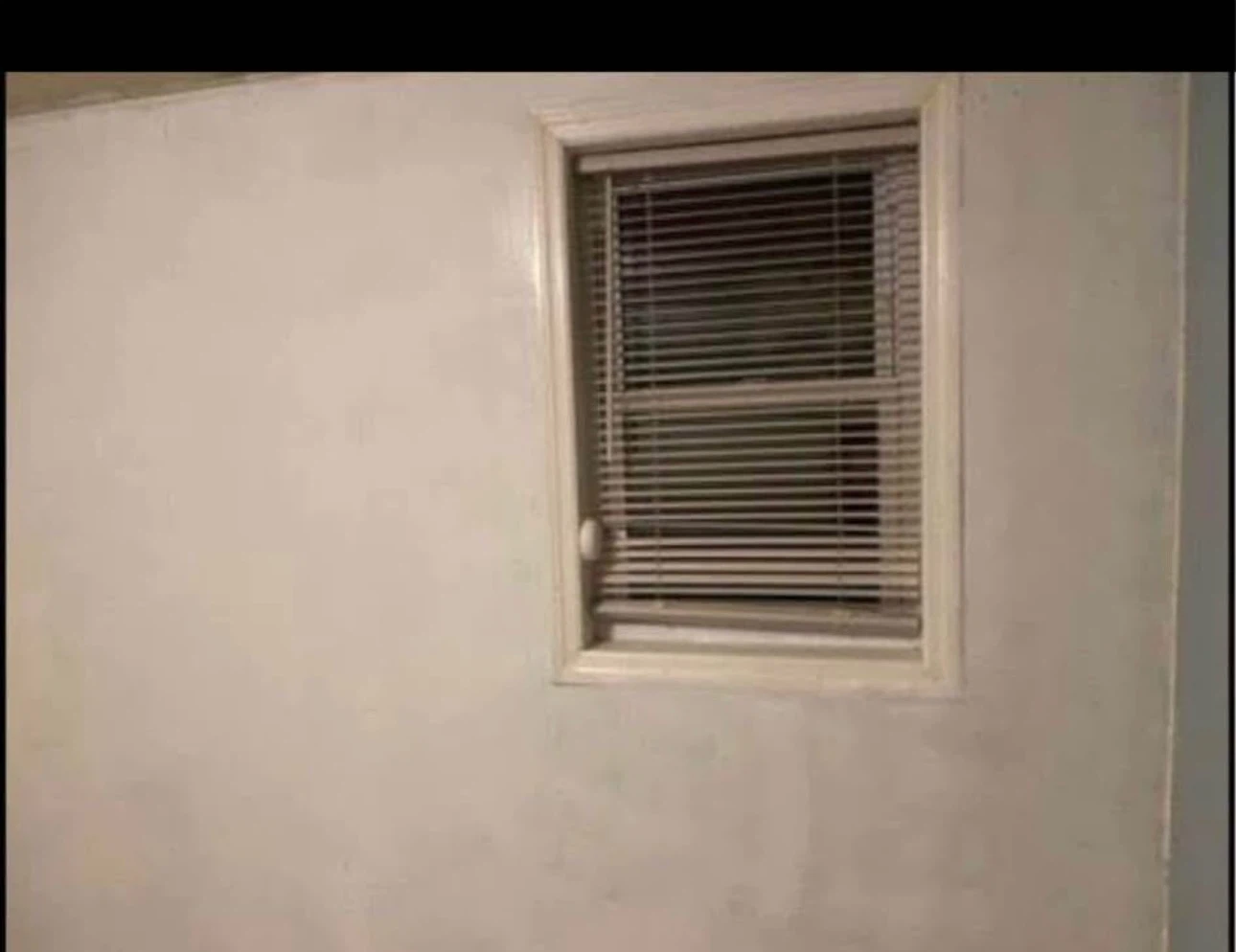 Apartment for rent - photo 2