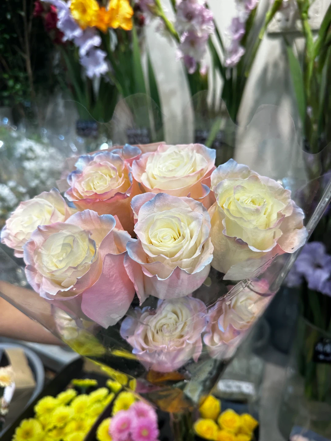 Bouquet of Multicoloured Roses