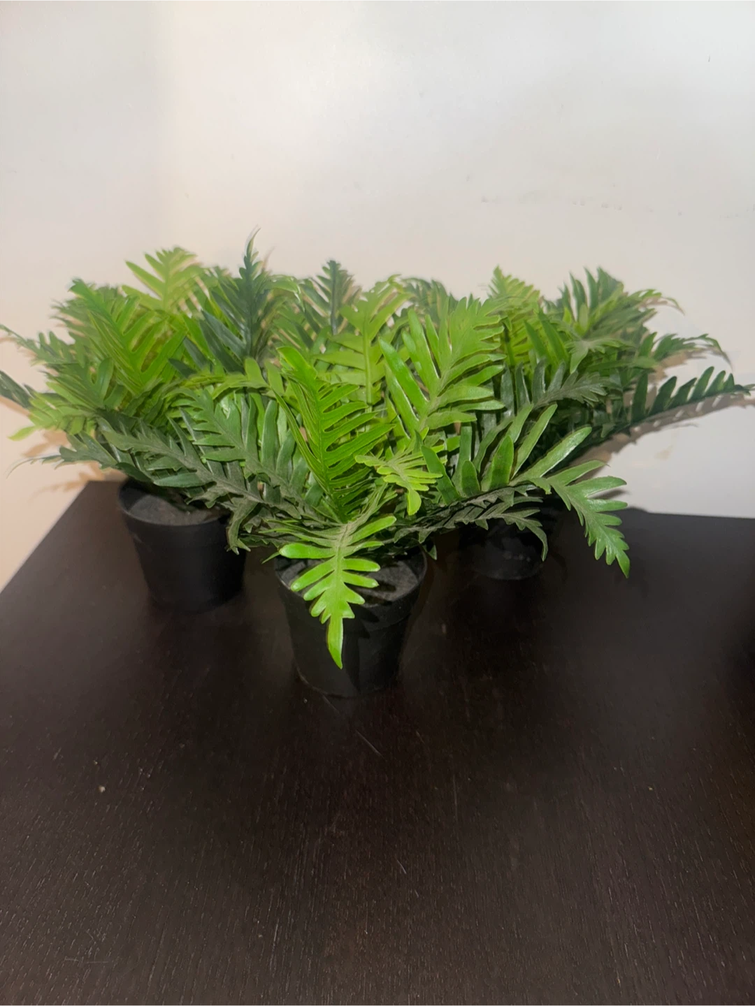 3 IKEA Artificial Potted Ferns - photo 2