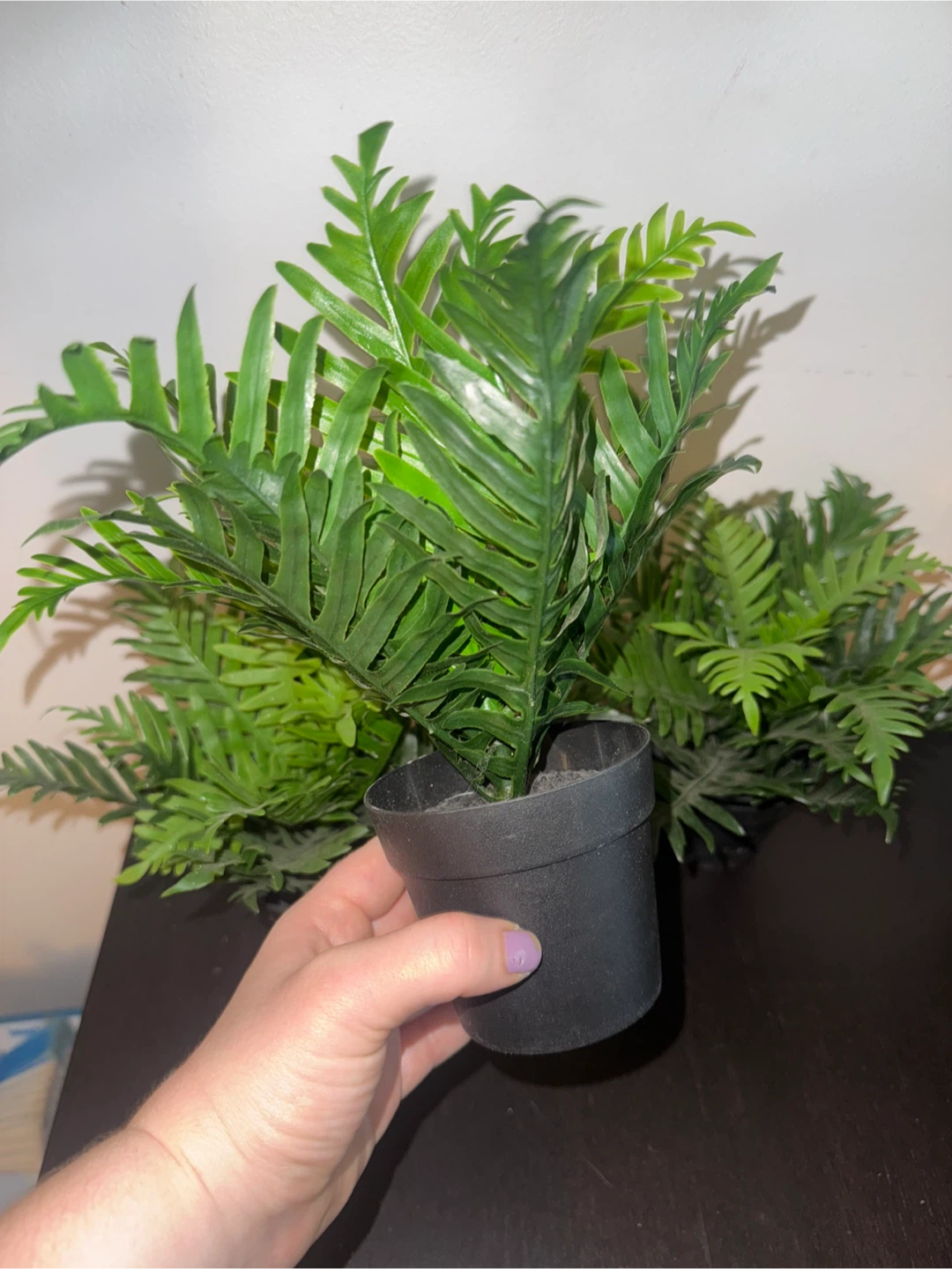 3 IKEA Artificial Potted Ferns - photo 3