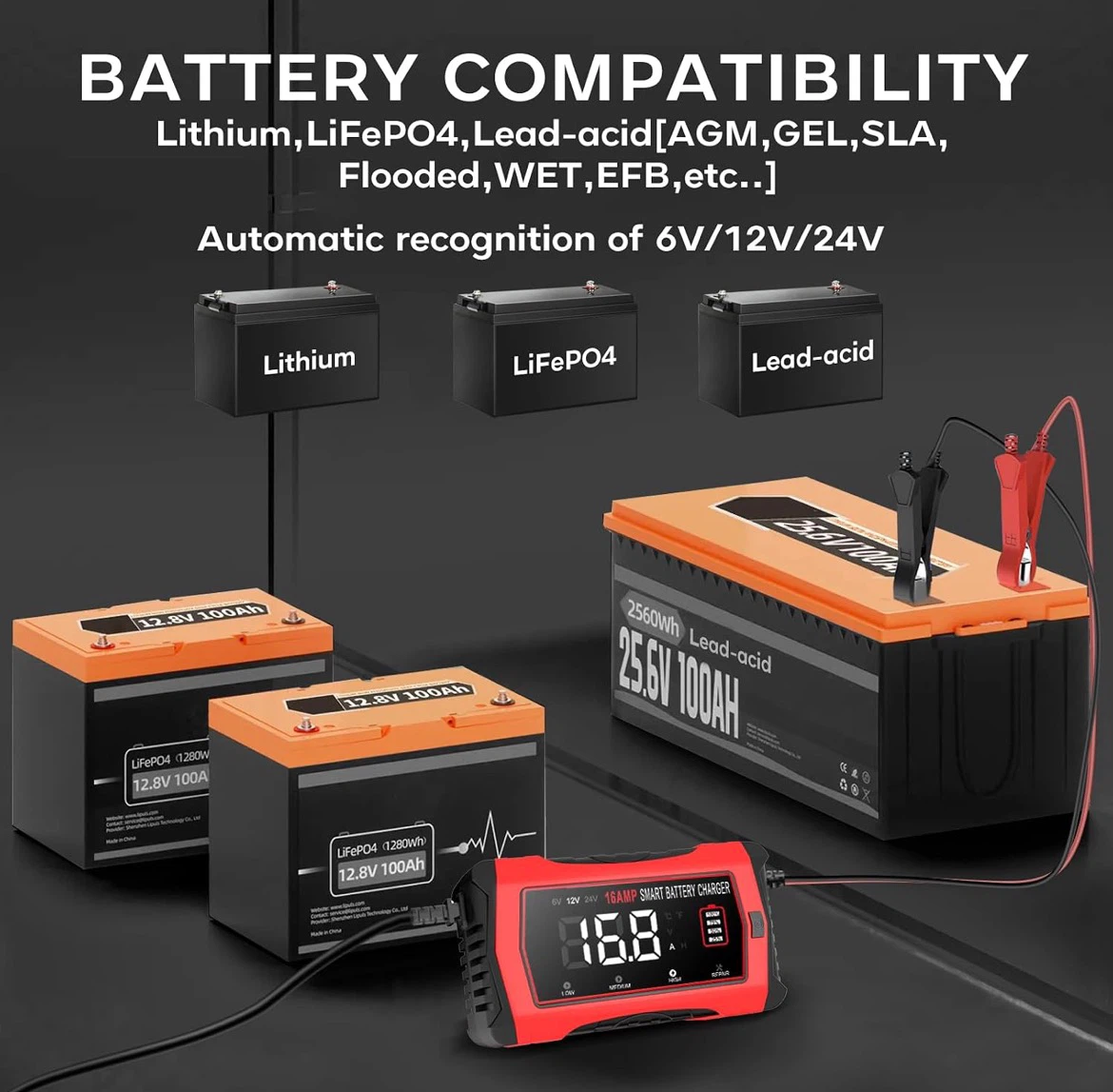 NEXPEAK NC101 16A Smart Battery Charger - photo 4
