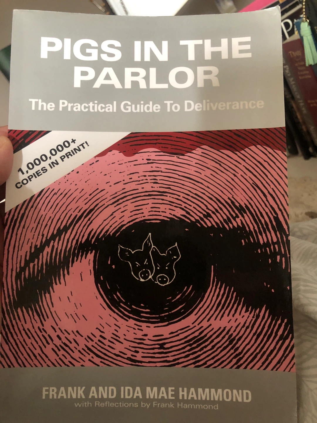 Pigs in the Parlor: The Practical Guide to Deliverance