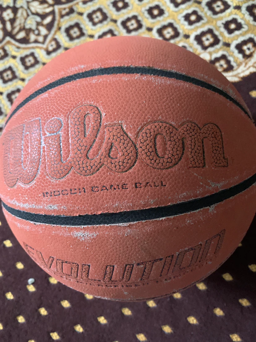 Wilson Evolution Indoor Basketball