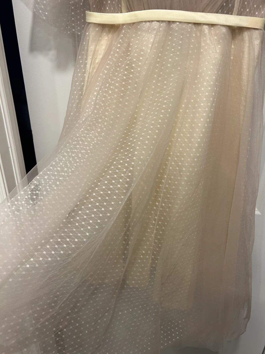 Champagne Tulle Corset Dress - photo 5
