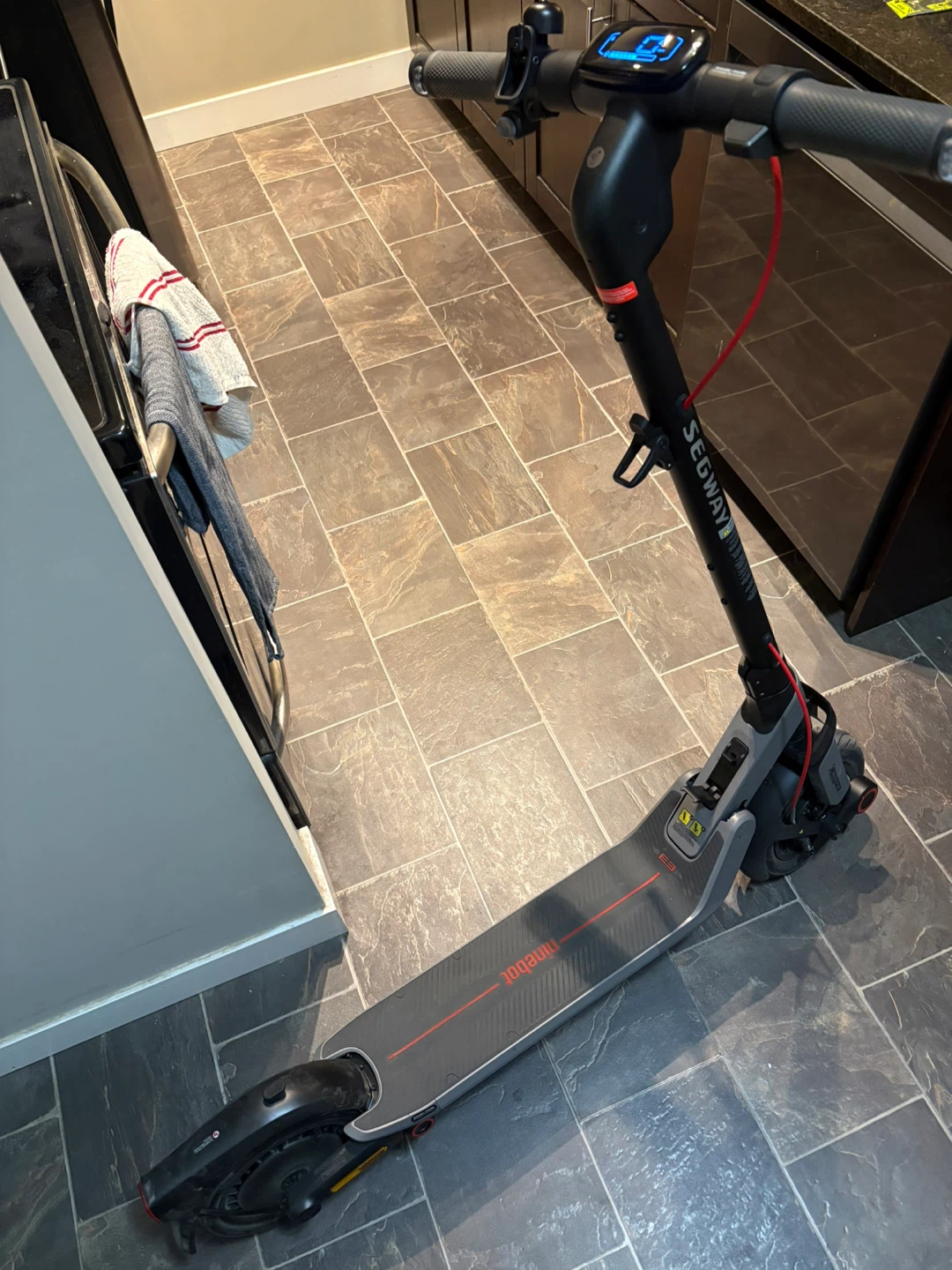 Segway Ninebot E25 Electric Scooter