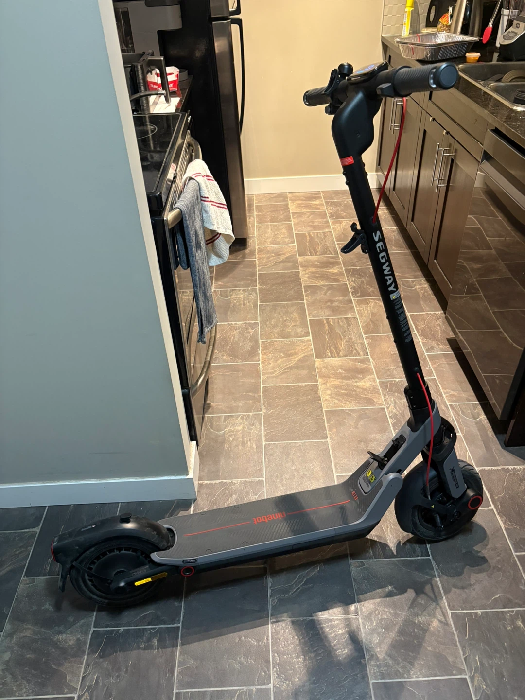 Segway Ninebot E25 Electric Scooter - photo 2