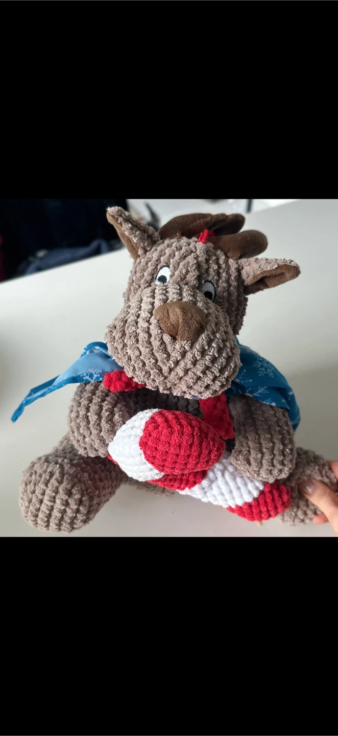 Dog toy