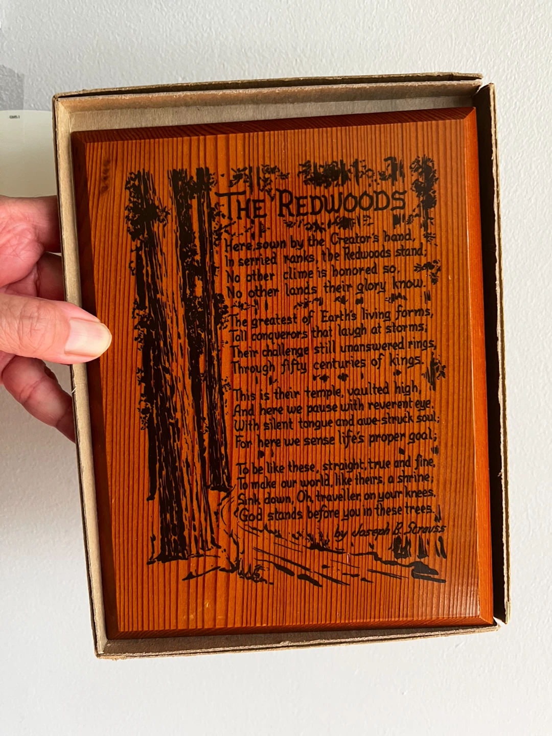 Vintage Trees of Mystery Redwood Plaque