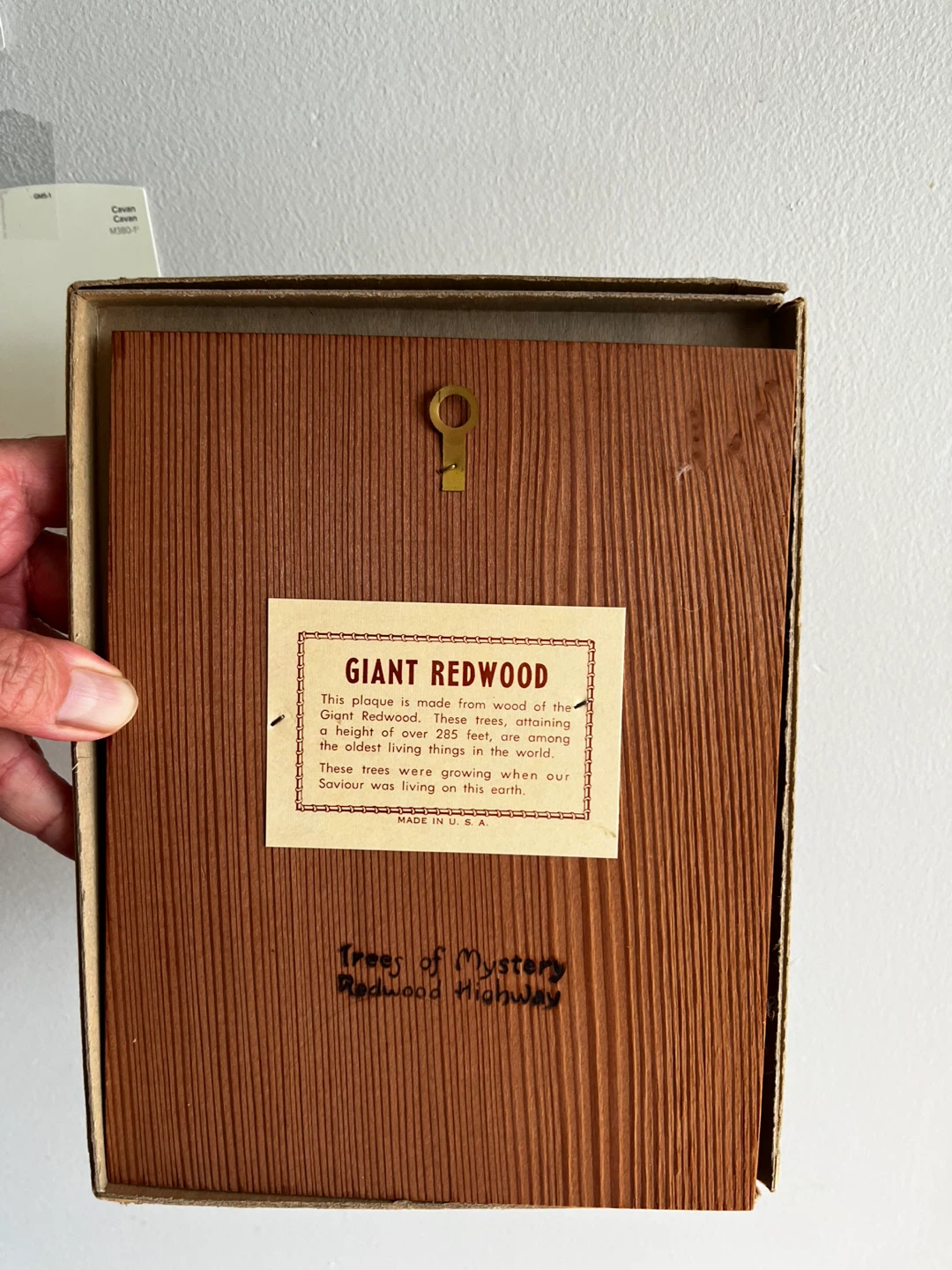 Vintage Trees of Mystery Redwood Plaque - photo 2