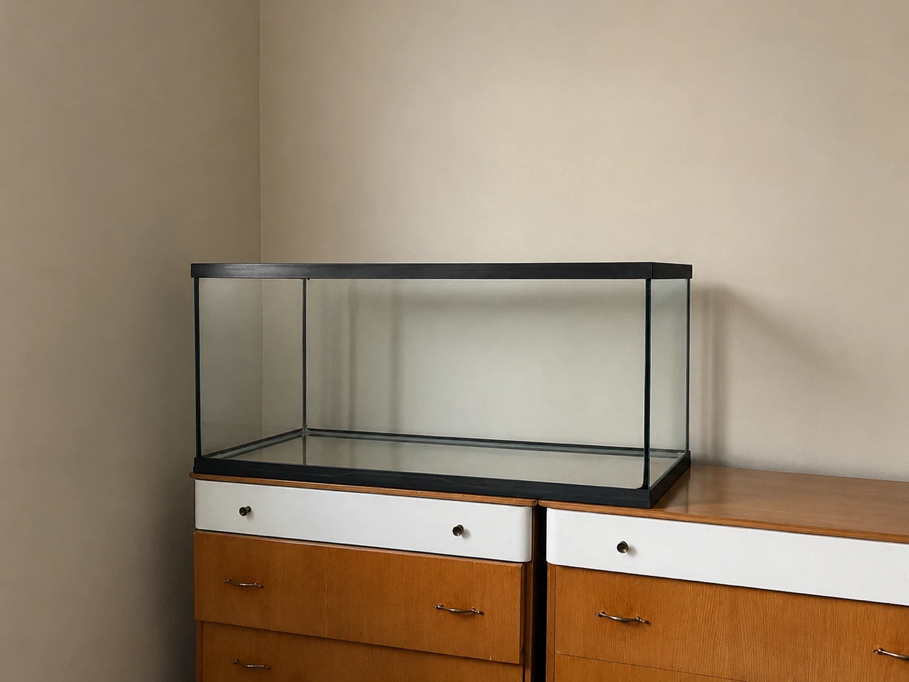 Glass Aquarium Tank
