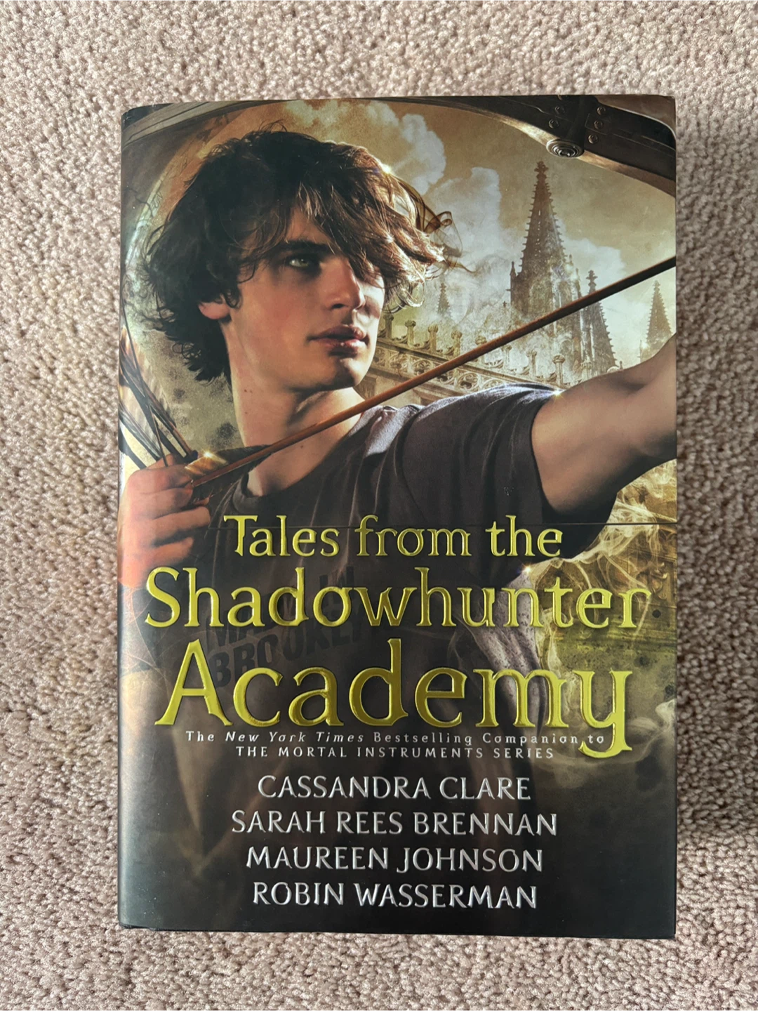 Tales from the Shadowhunter Academy by Cassandra Clare