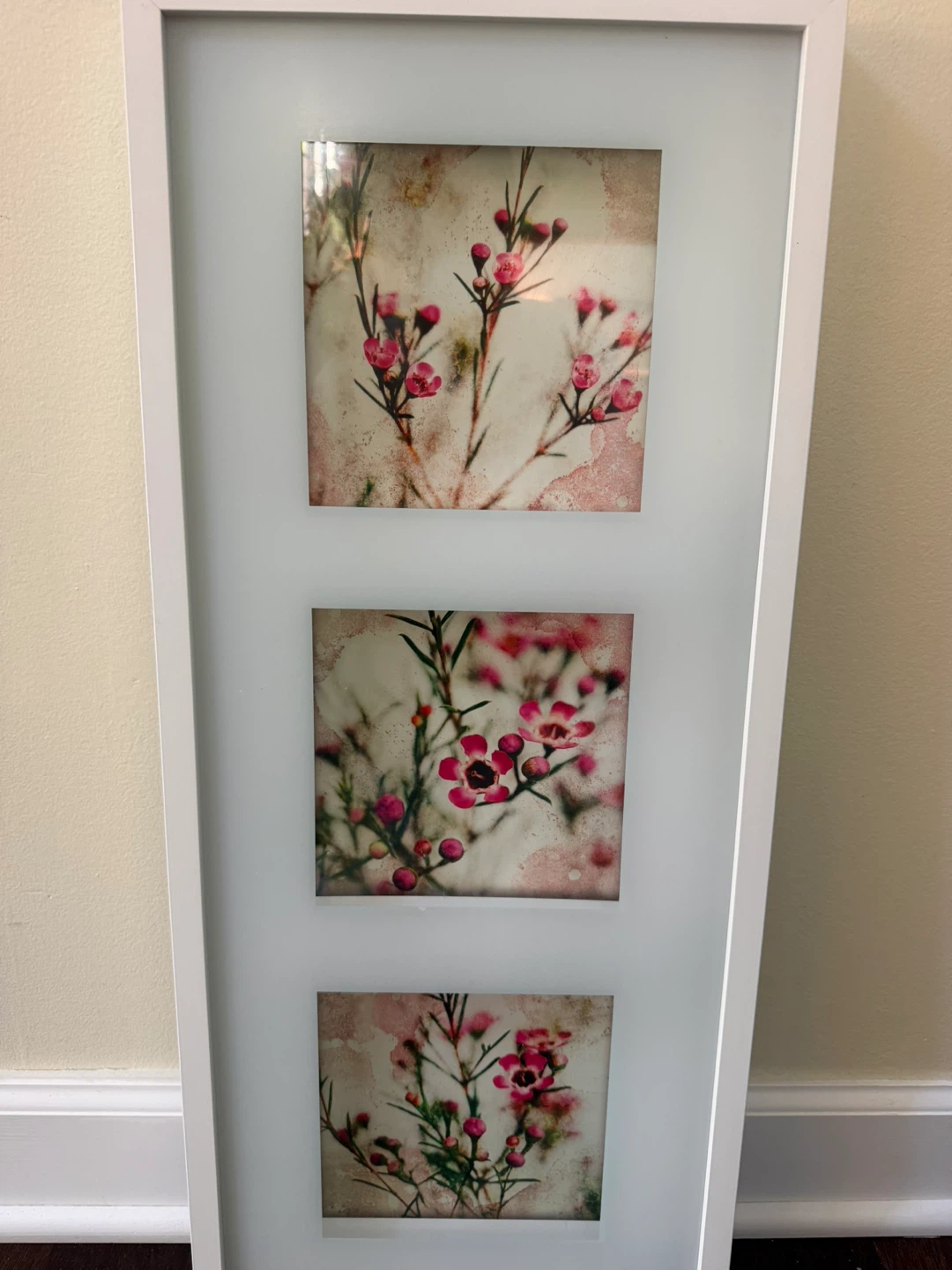 🌸 Floral Wall Art for Sale