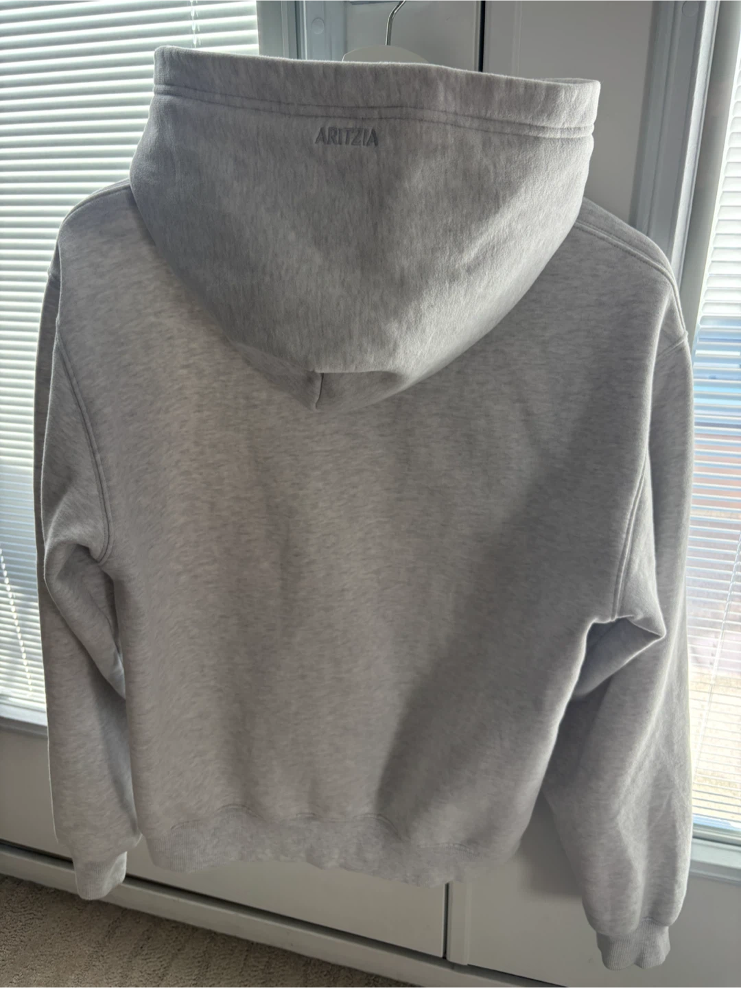 Aritzia Sweatfleece Hoodie