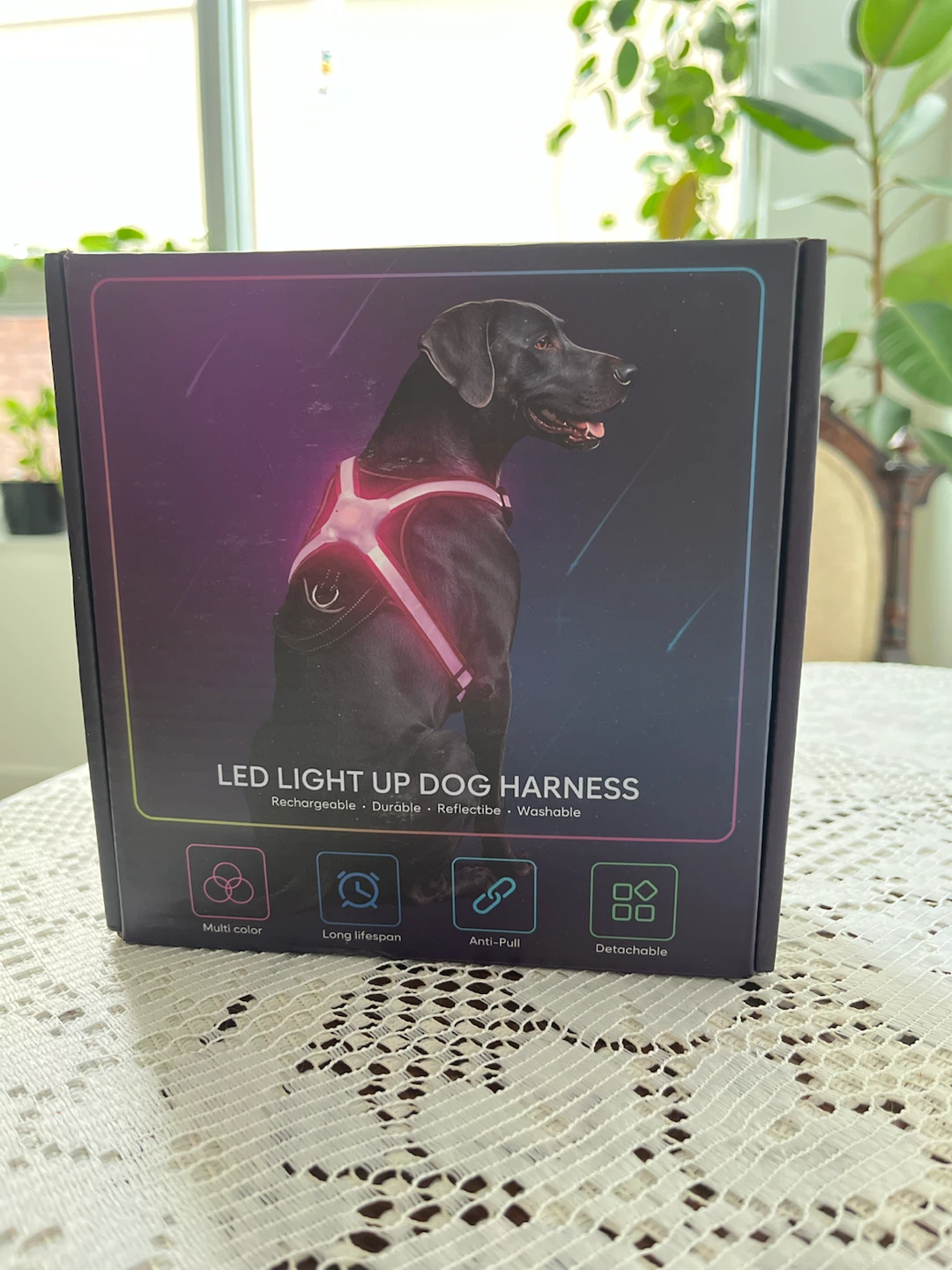 Light-Up LED Dog Harness – XL, Multicolour, USB Rechargeable - photo 4