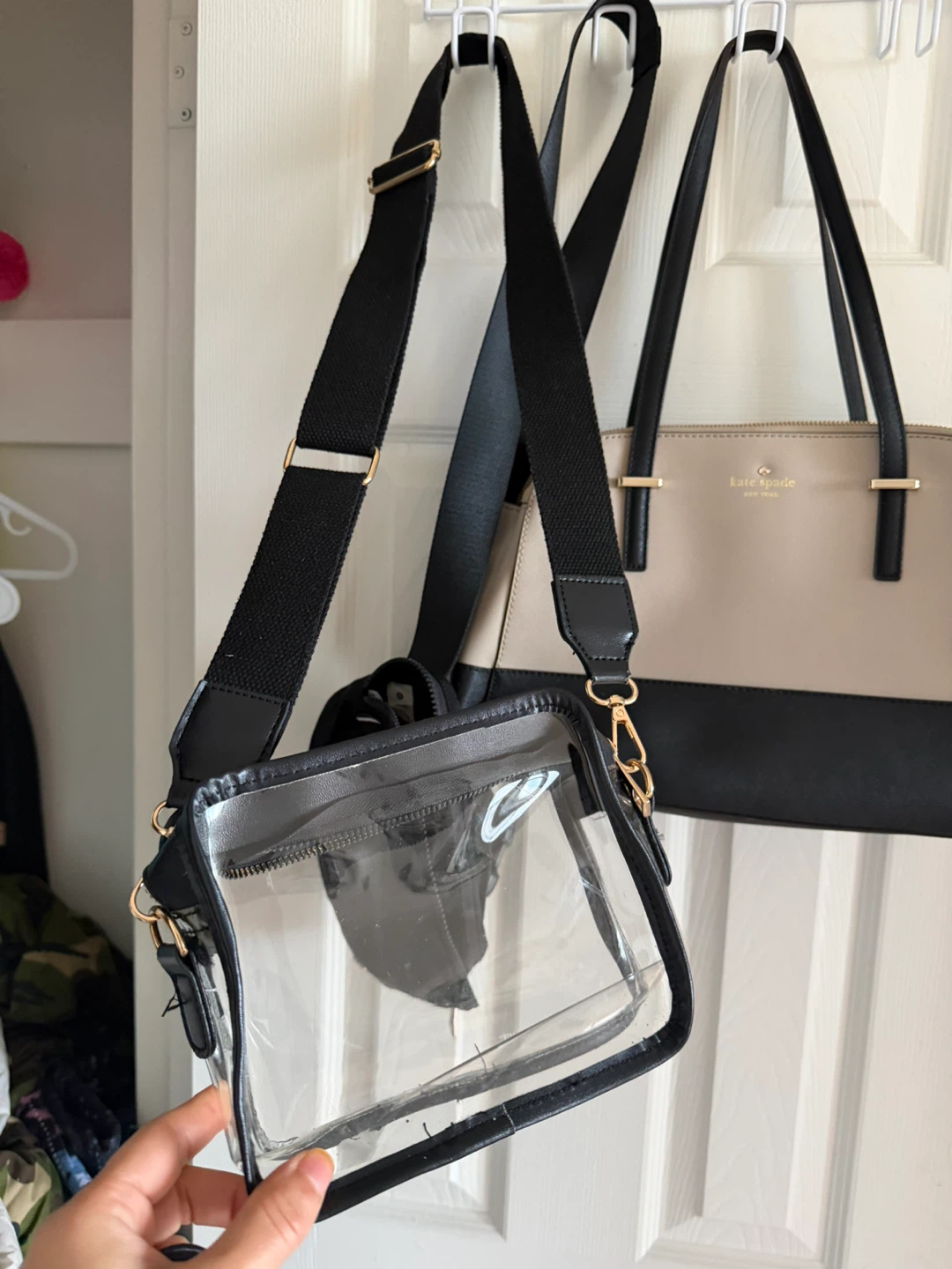 Clear Crossbody Bag with Black Trim