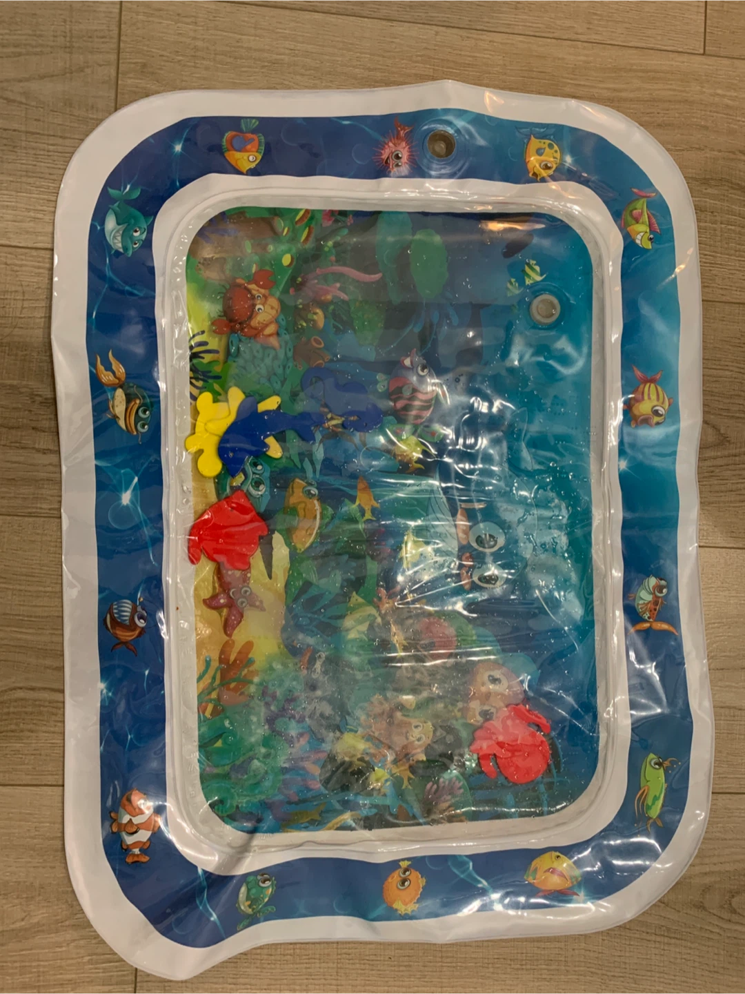 Inflatable Tummy Time Water Mat