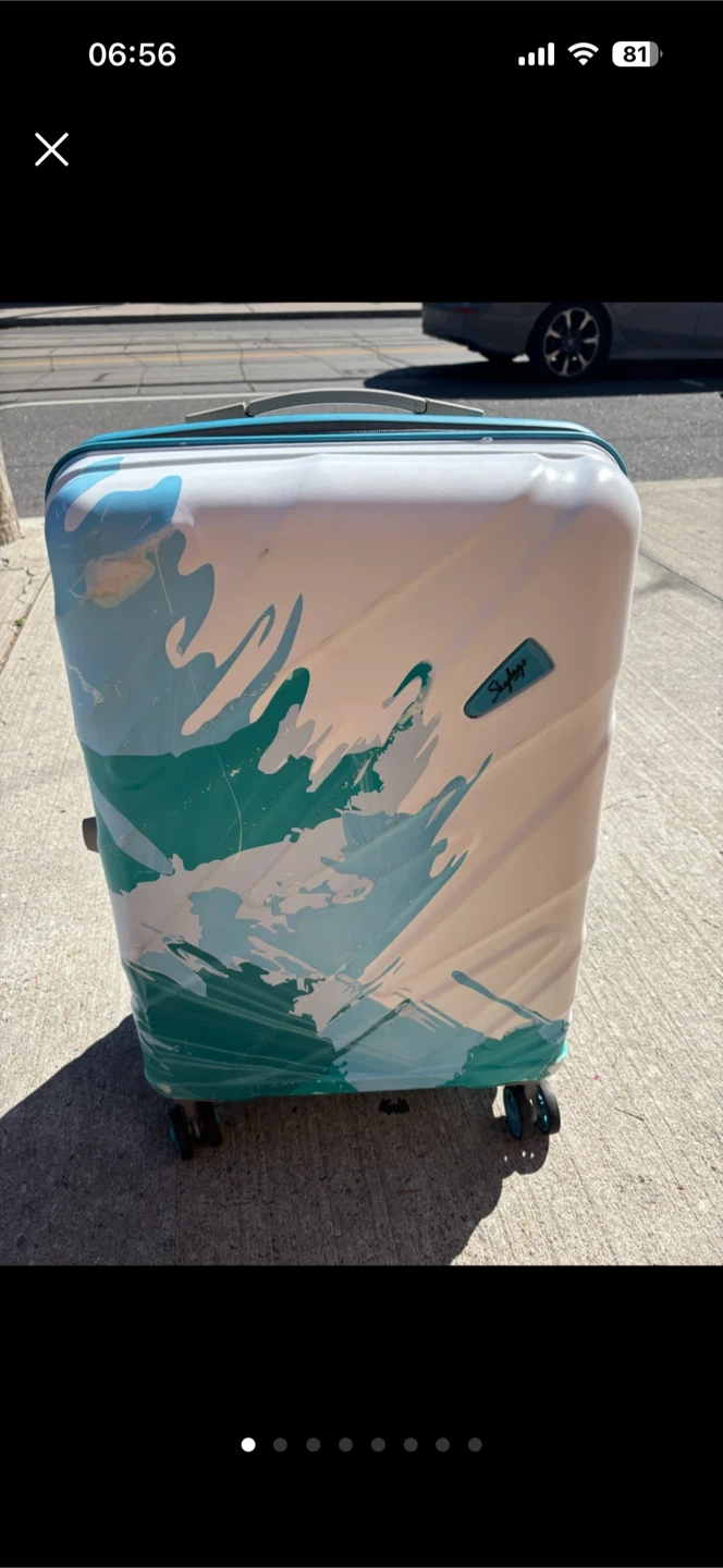 Medium Check In Skybags Carry-On Spinner Luggage