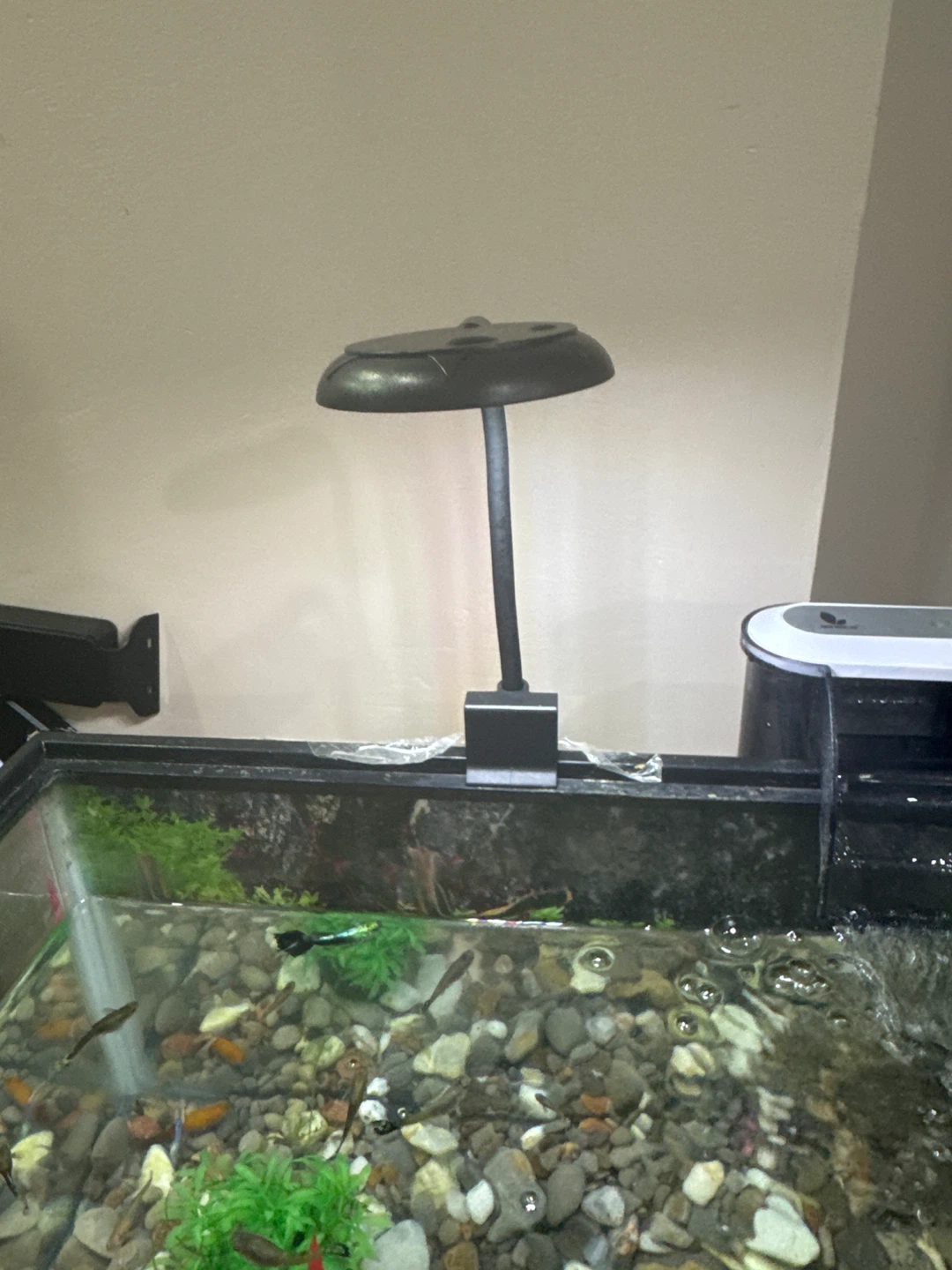 Fish Tank with Filter and Light - photo 3