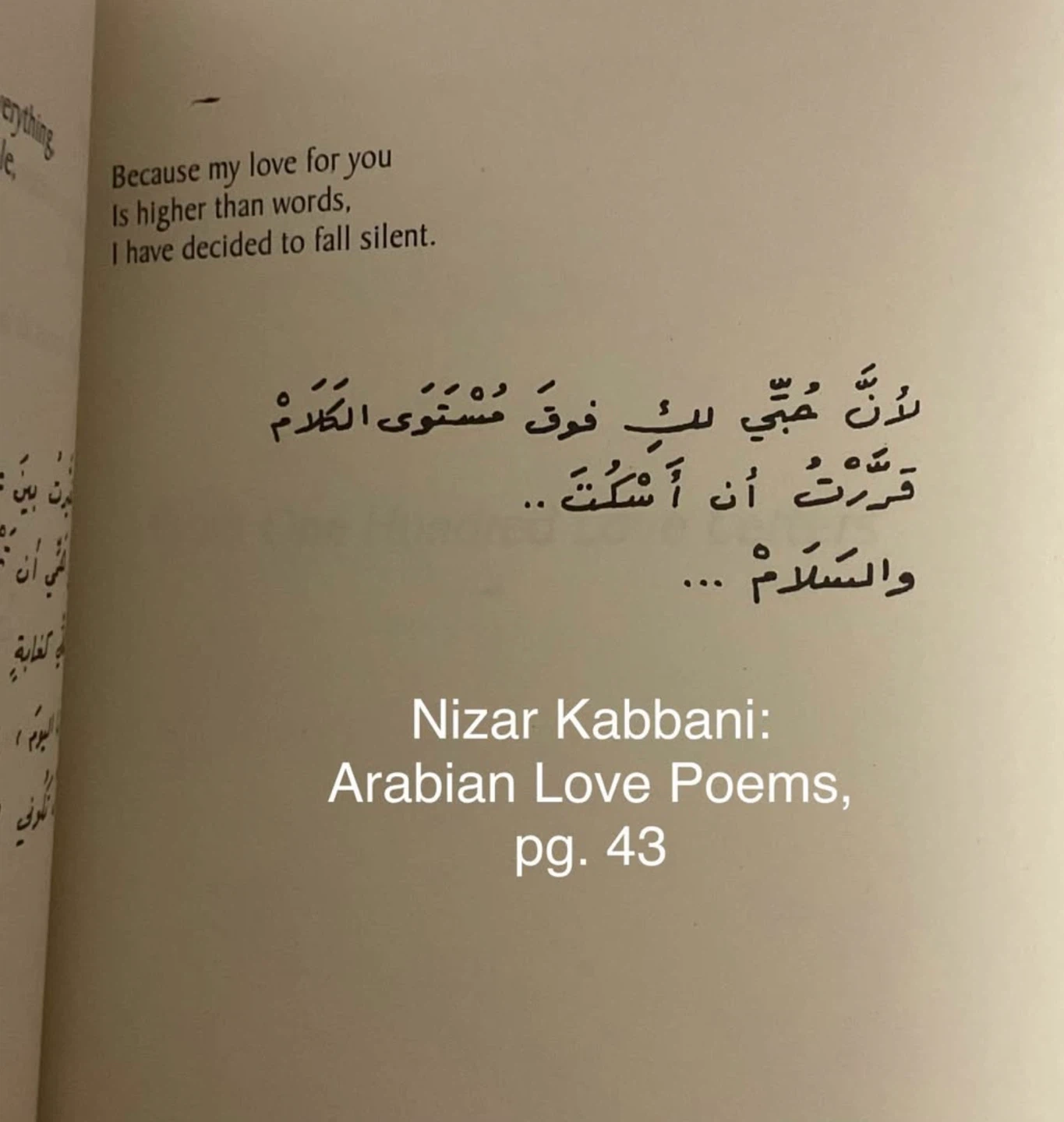 Middle Eastern & Arabic Poetry book bundle (18 books for $100) - photo 4