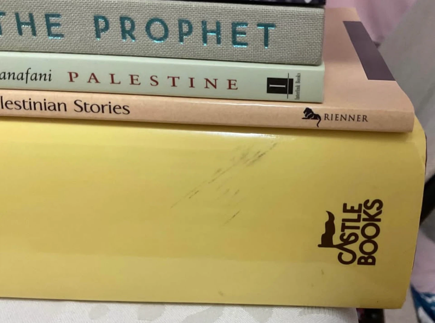 Middle Eastern & Arabic Poetry book bundle (18 books for $100) - photo 5