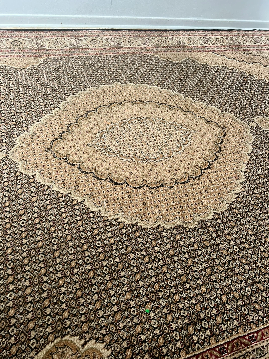 Traditional Patterned Area Rug