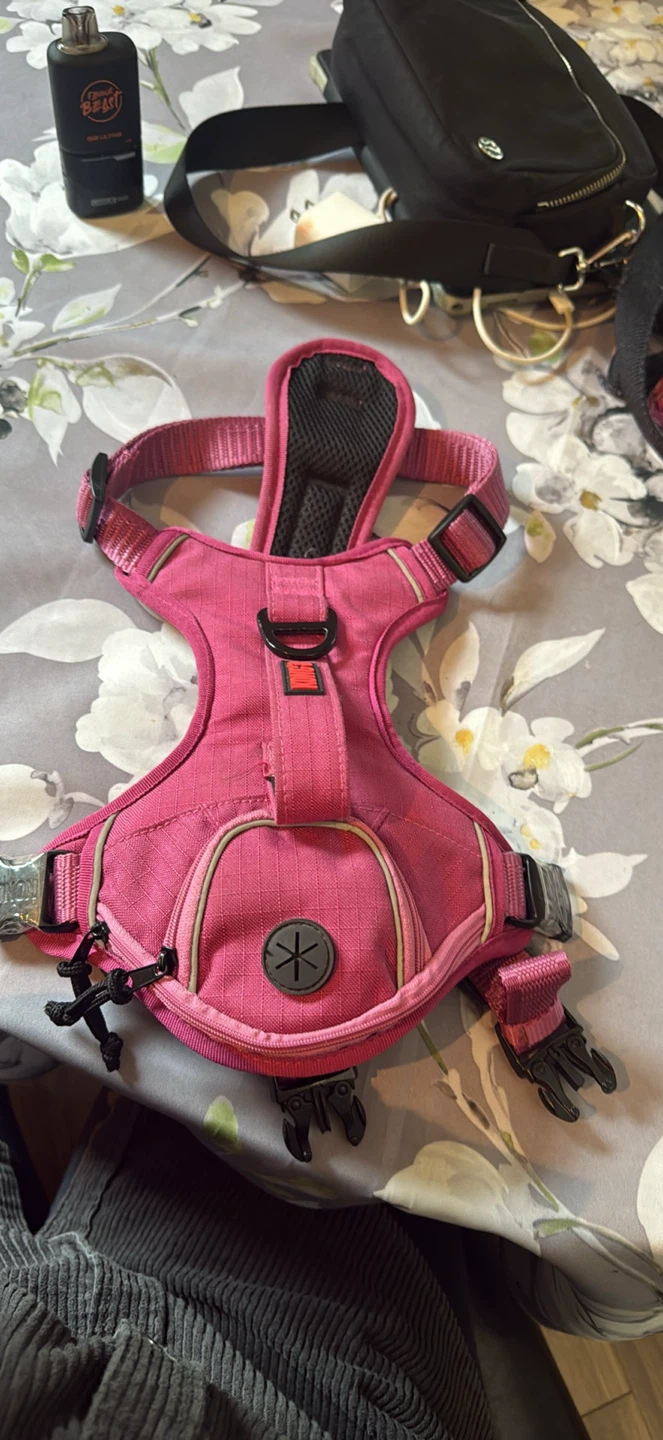 KONG pink dog harness medium