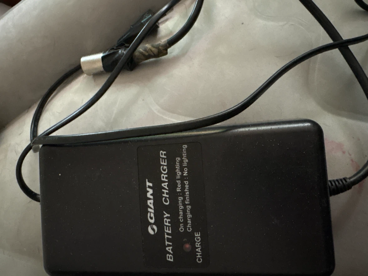 Giant Electric Bicycle Battery Charger