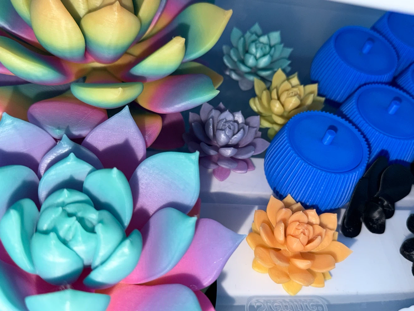 Assorted 3D Printed Decorative Items