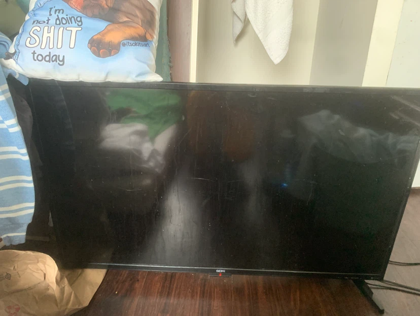 Seiki Television
