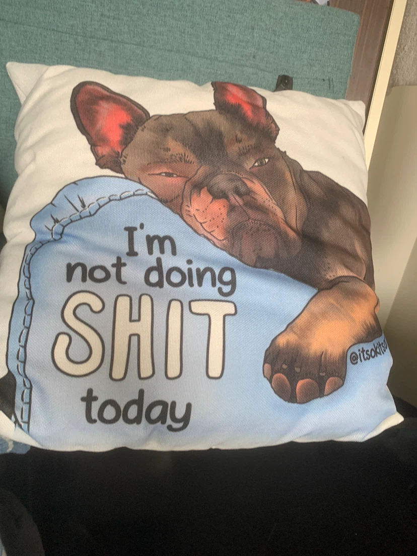 Novelty I'm not doing SHIT today decorative cushion