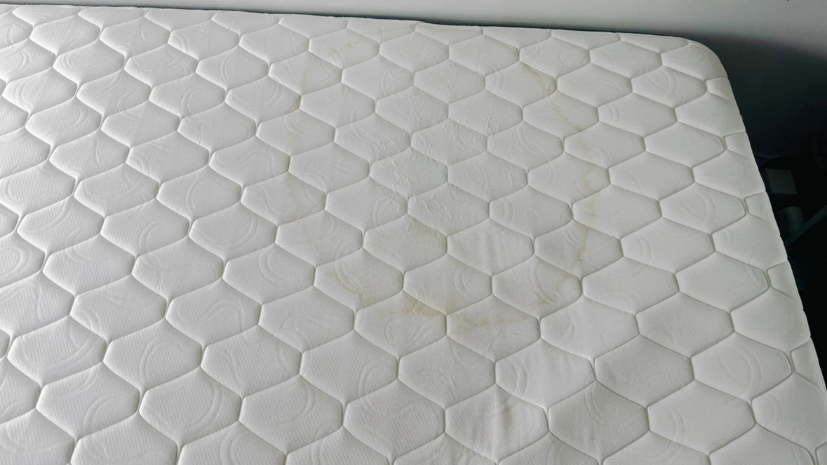 Moving out King-Size Alwyn Home Mattress