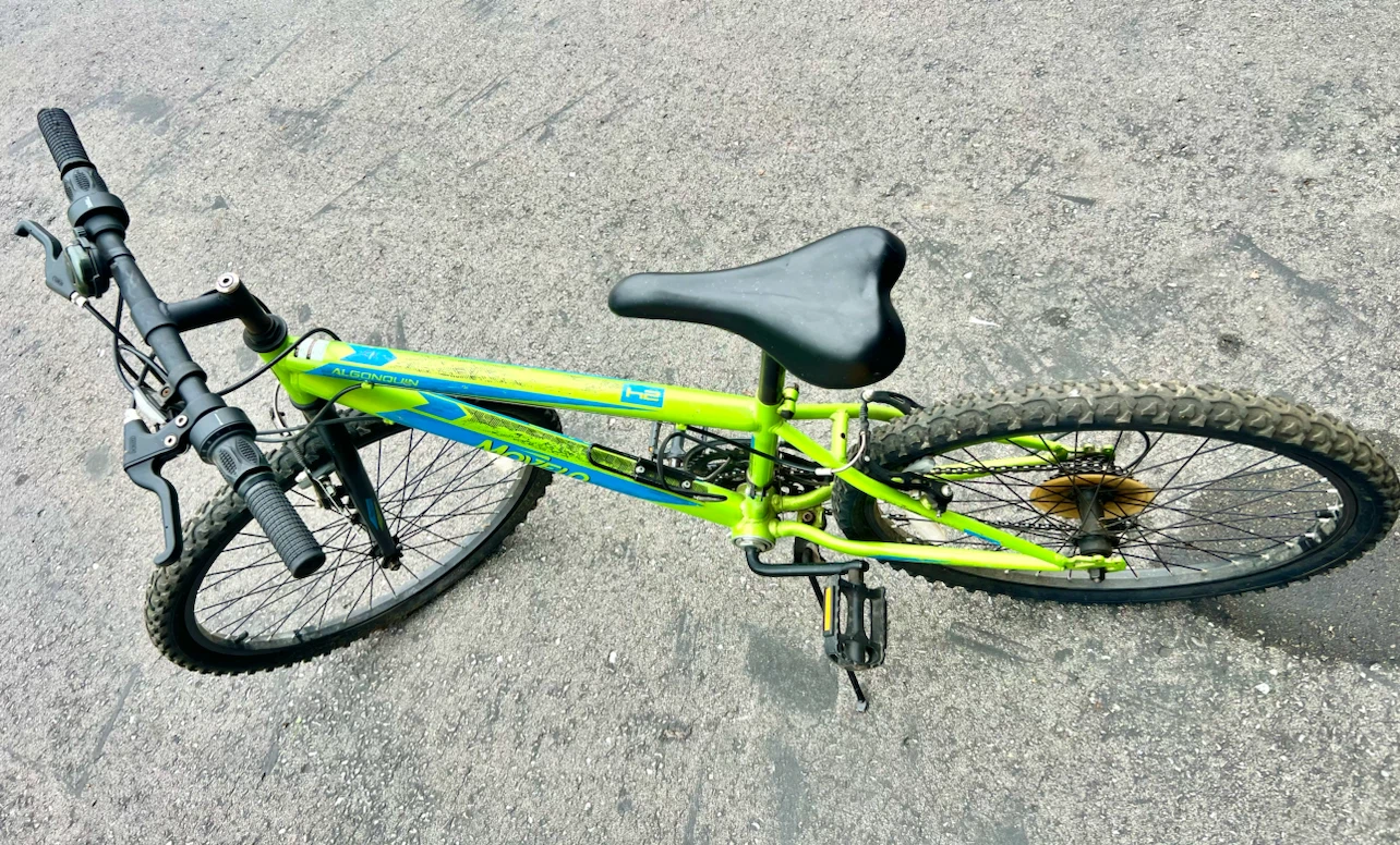 Movelo Algonquin 24 Inch Mountain Bike