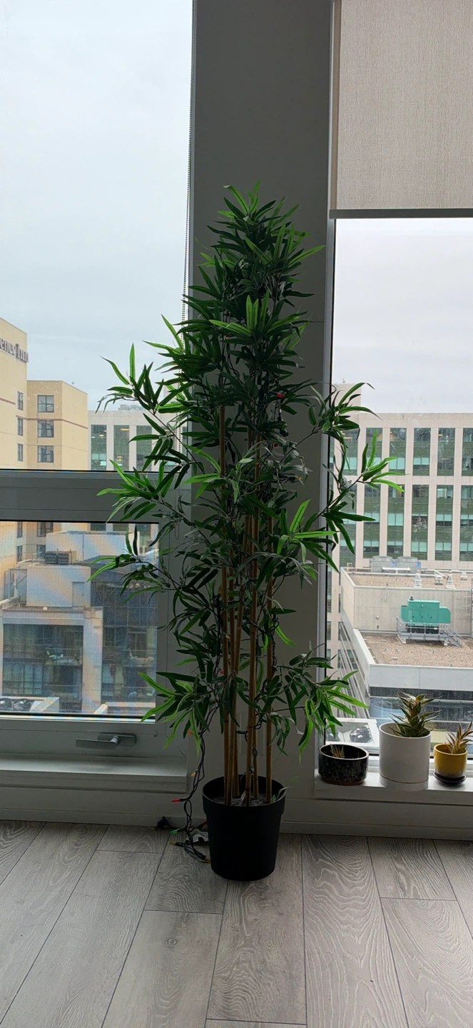IKEA FEJKA artificial bamboo plant