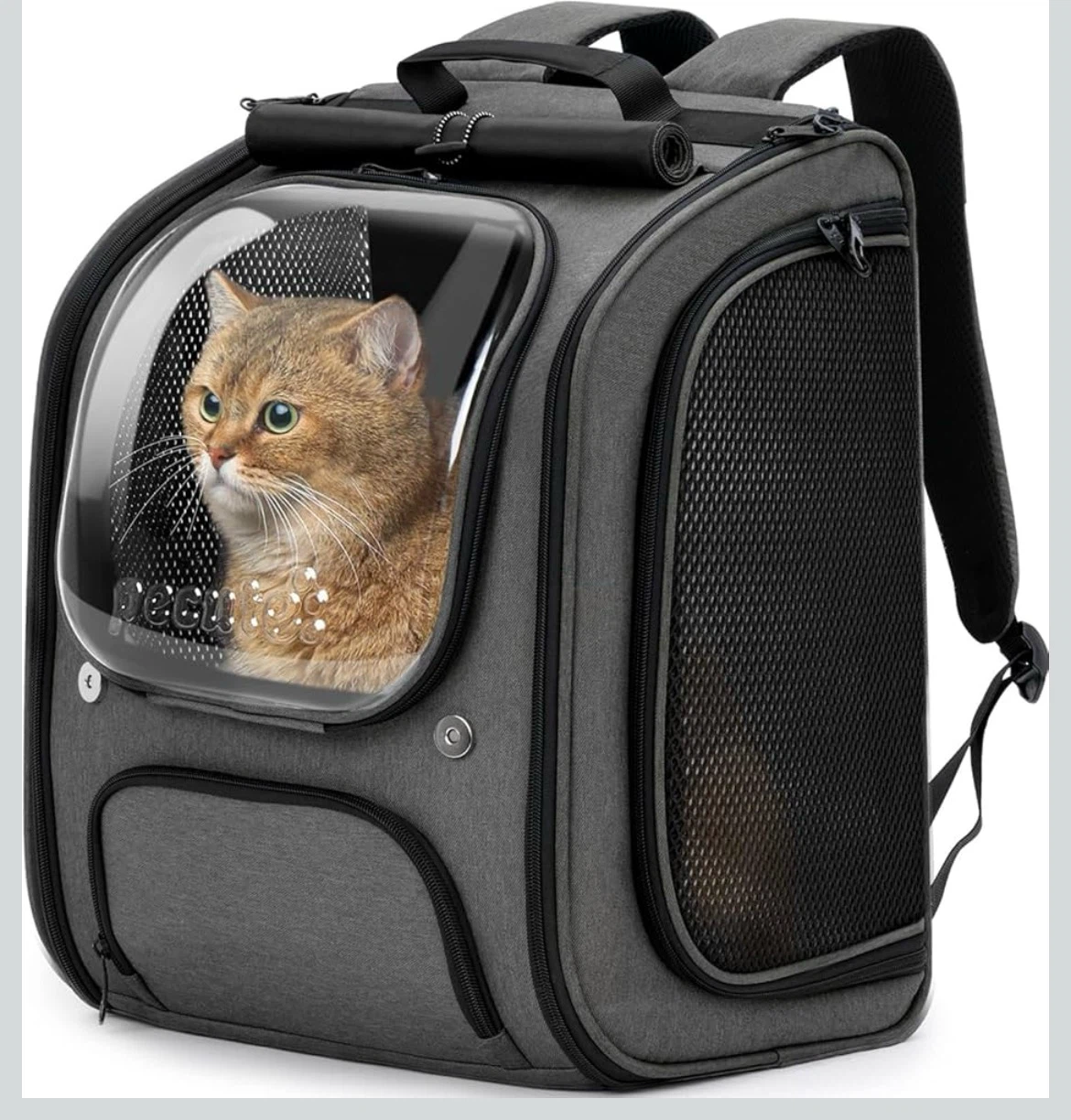 Pecute Pet Travel Backpack