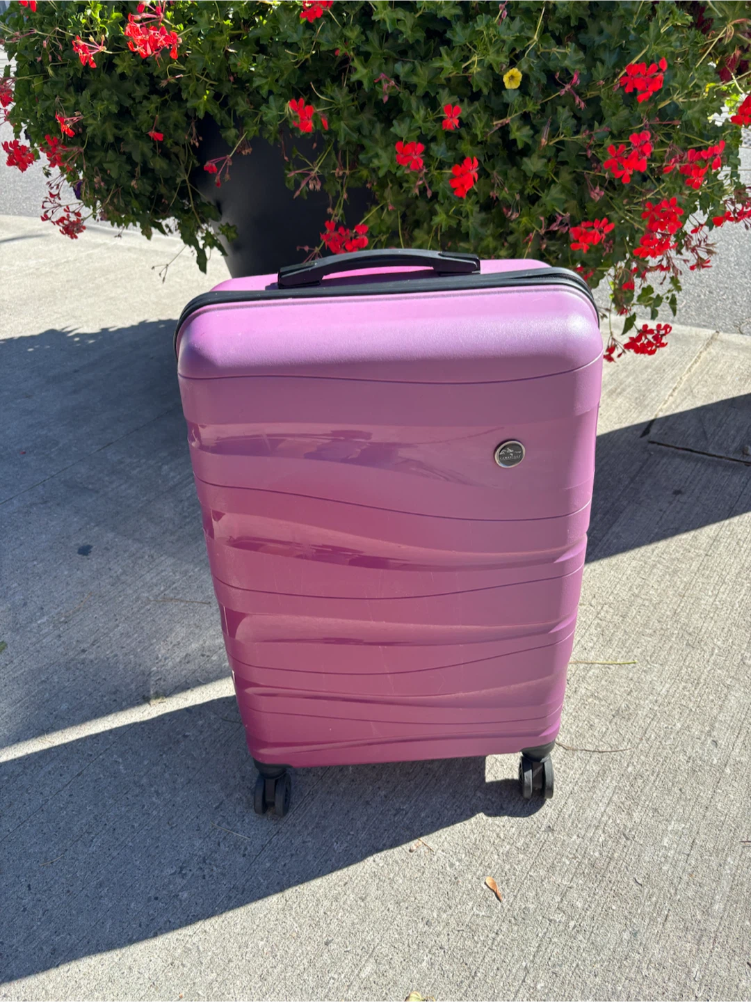 Medium Check in Pink Hard Shell Spinner Luggage