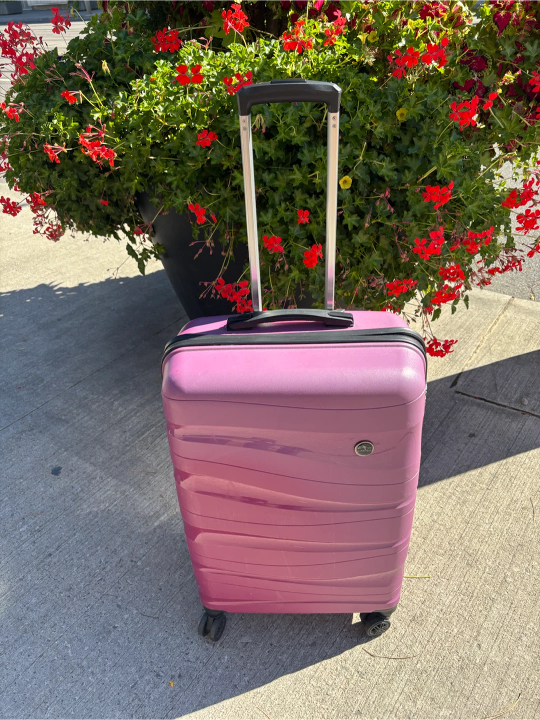 Medium Check in Pink Hard Shell Spinner Luggage - photo 2