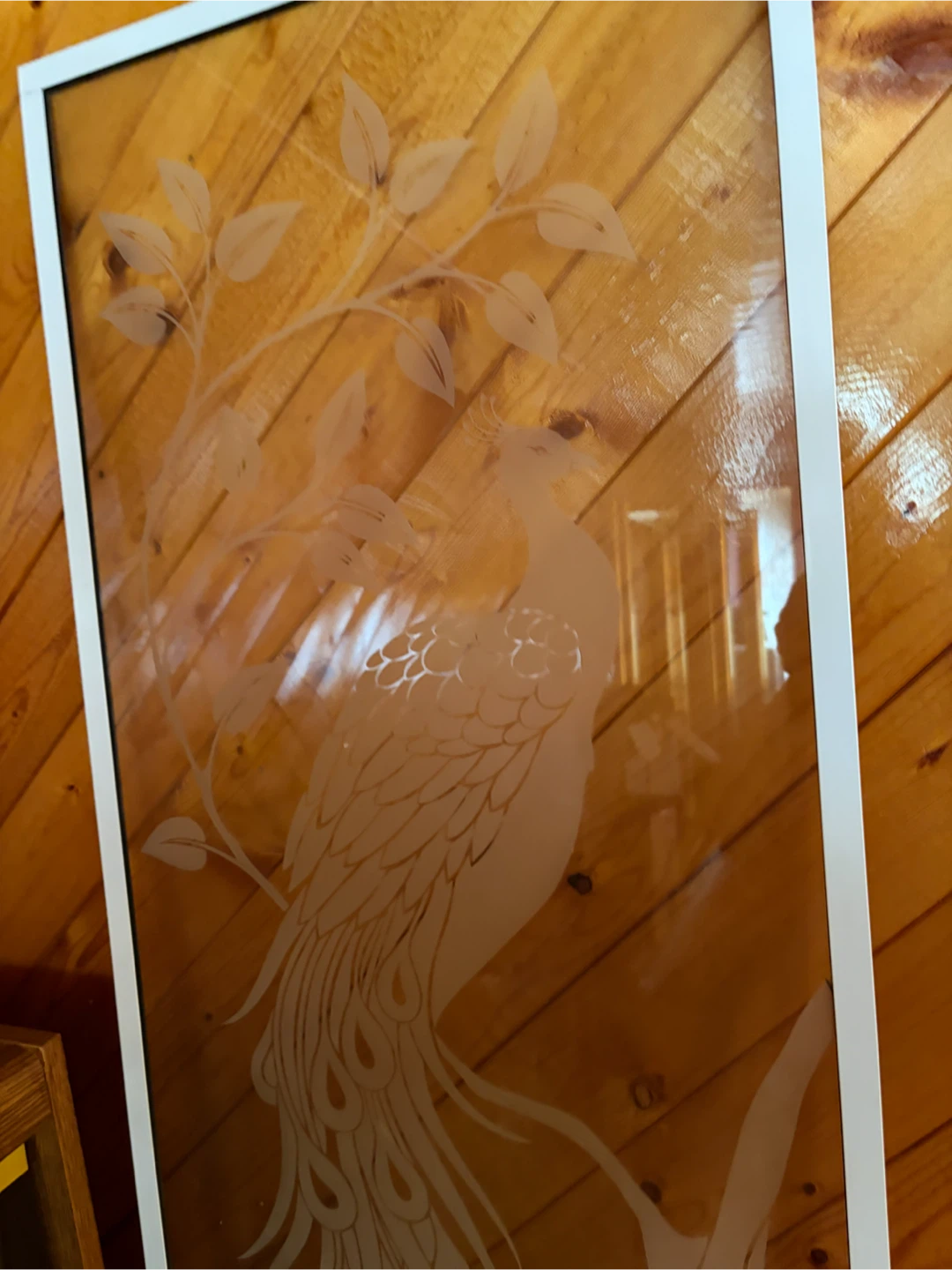 Etched Glass Peacock Panel