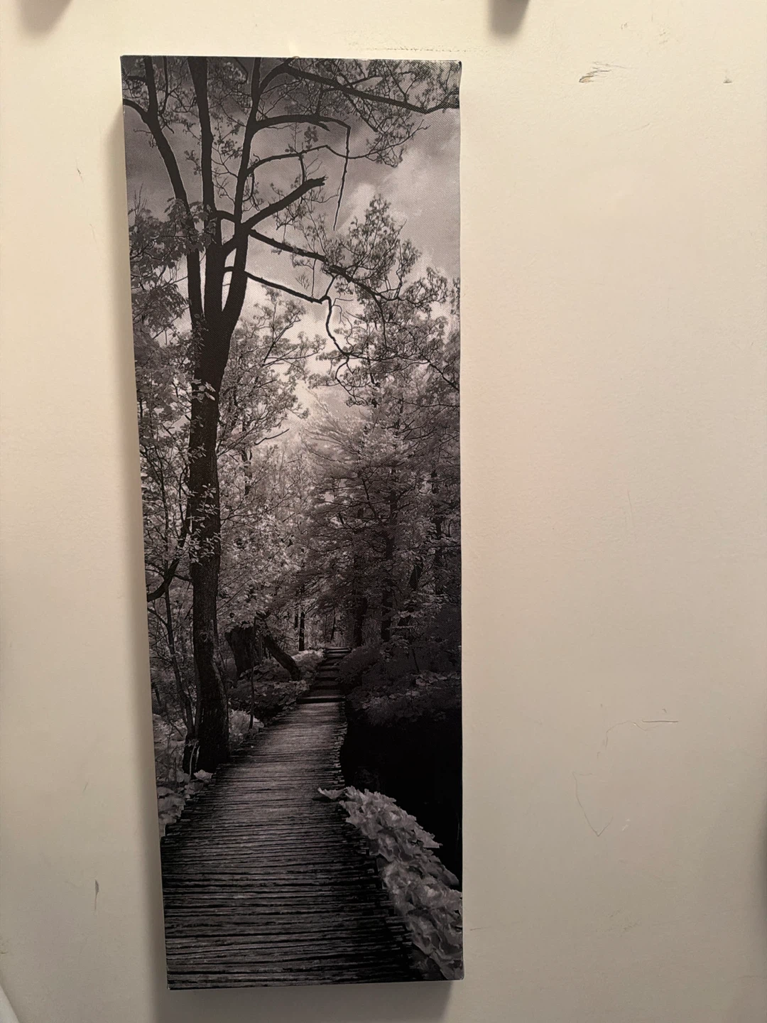 Black and White Forest Path Canvas Wall Art