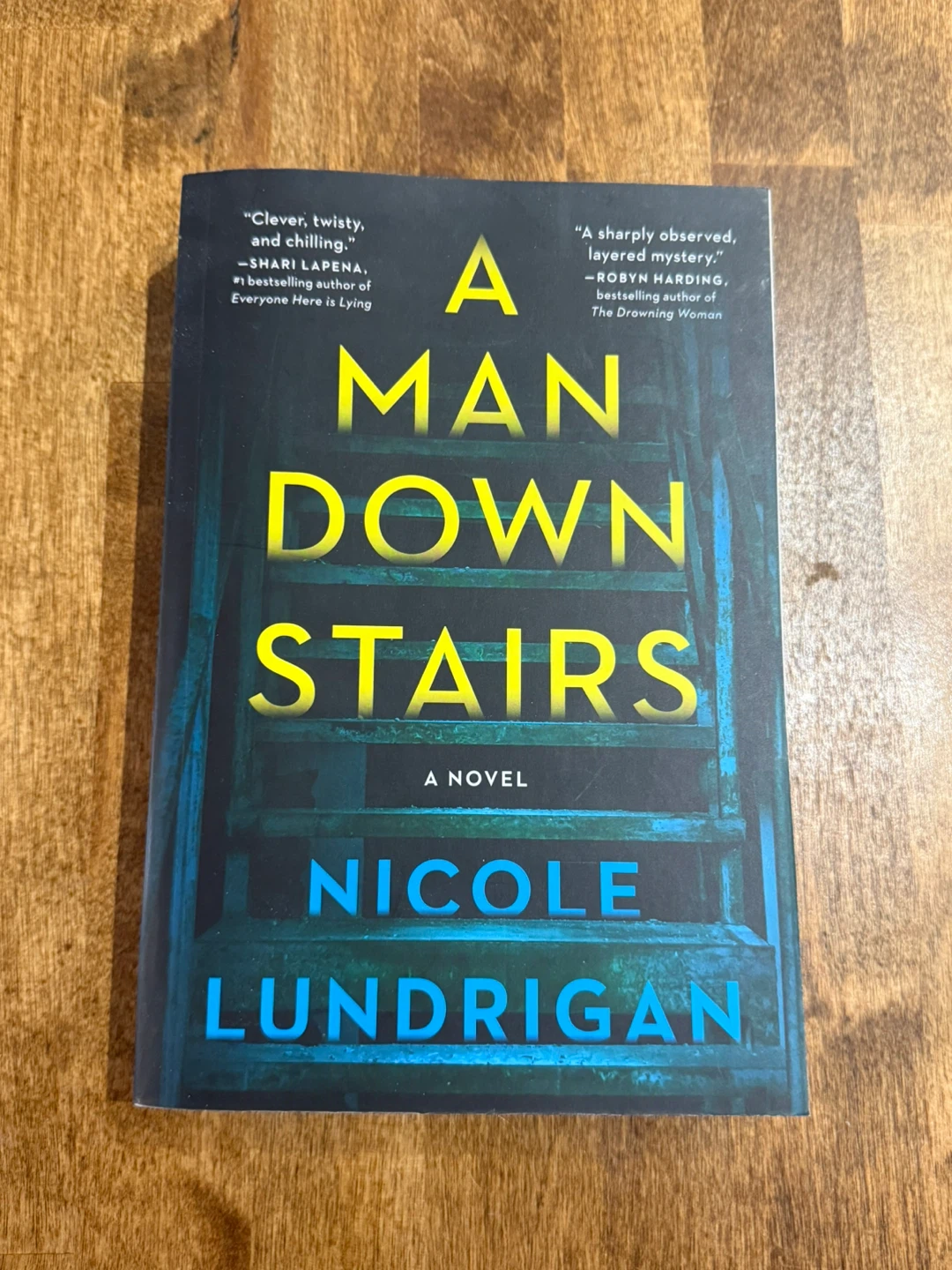 A Man Downstairs by Nicole Lundrigan