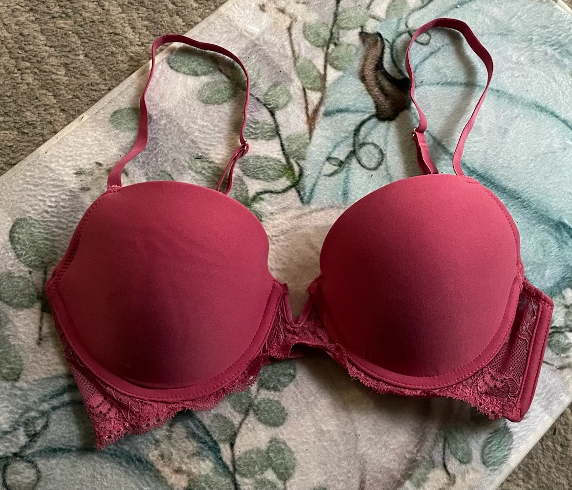 Rose + Vine Bra in Deep Pink