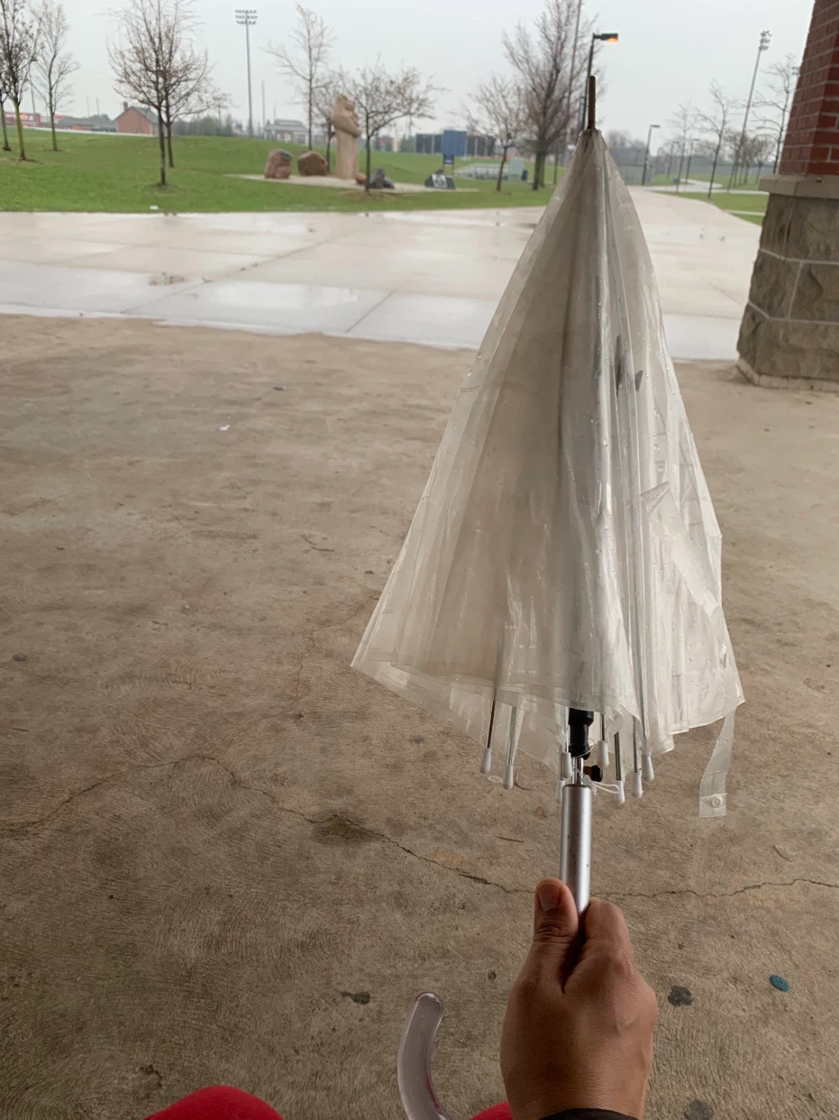 Clear Transparent Umbrella