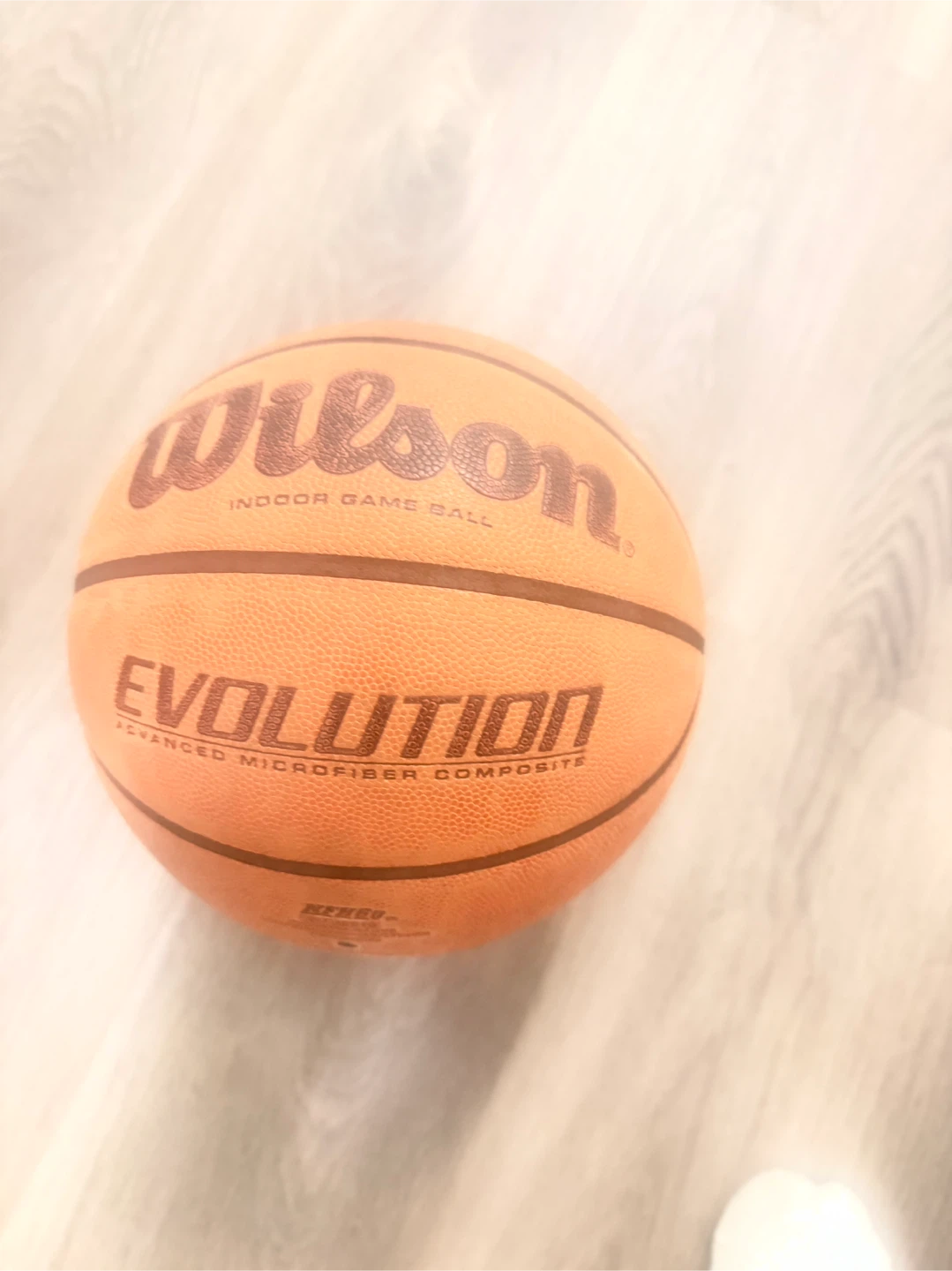 Wilson Evolution Indoor Basketball