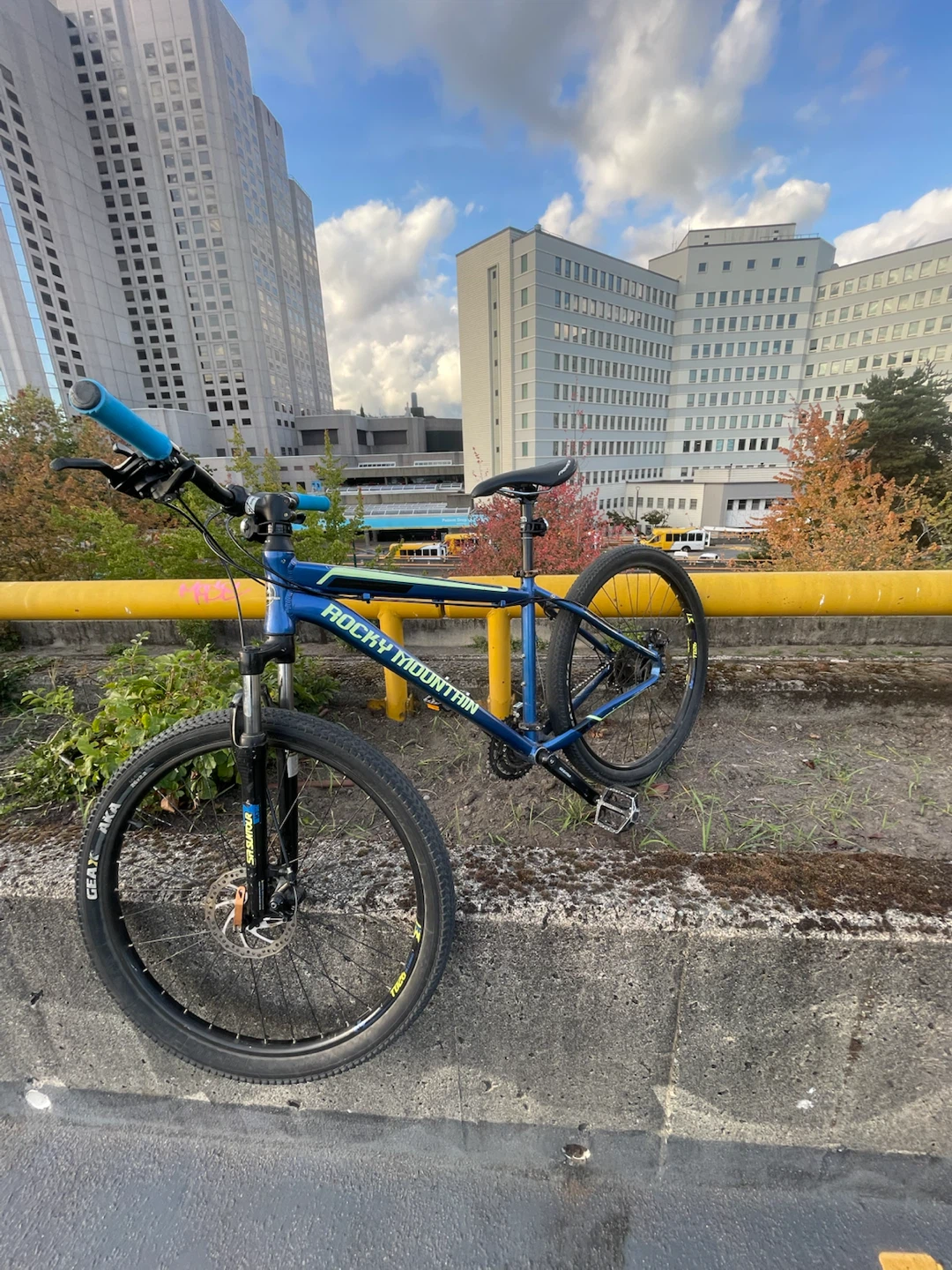 Rocky Mountain Mountain Bike